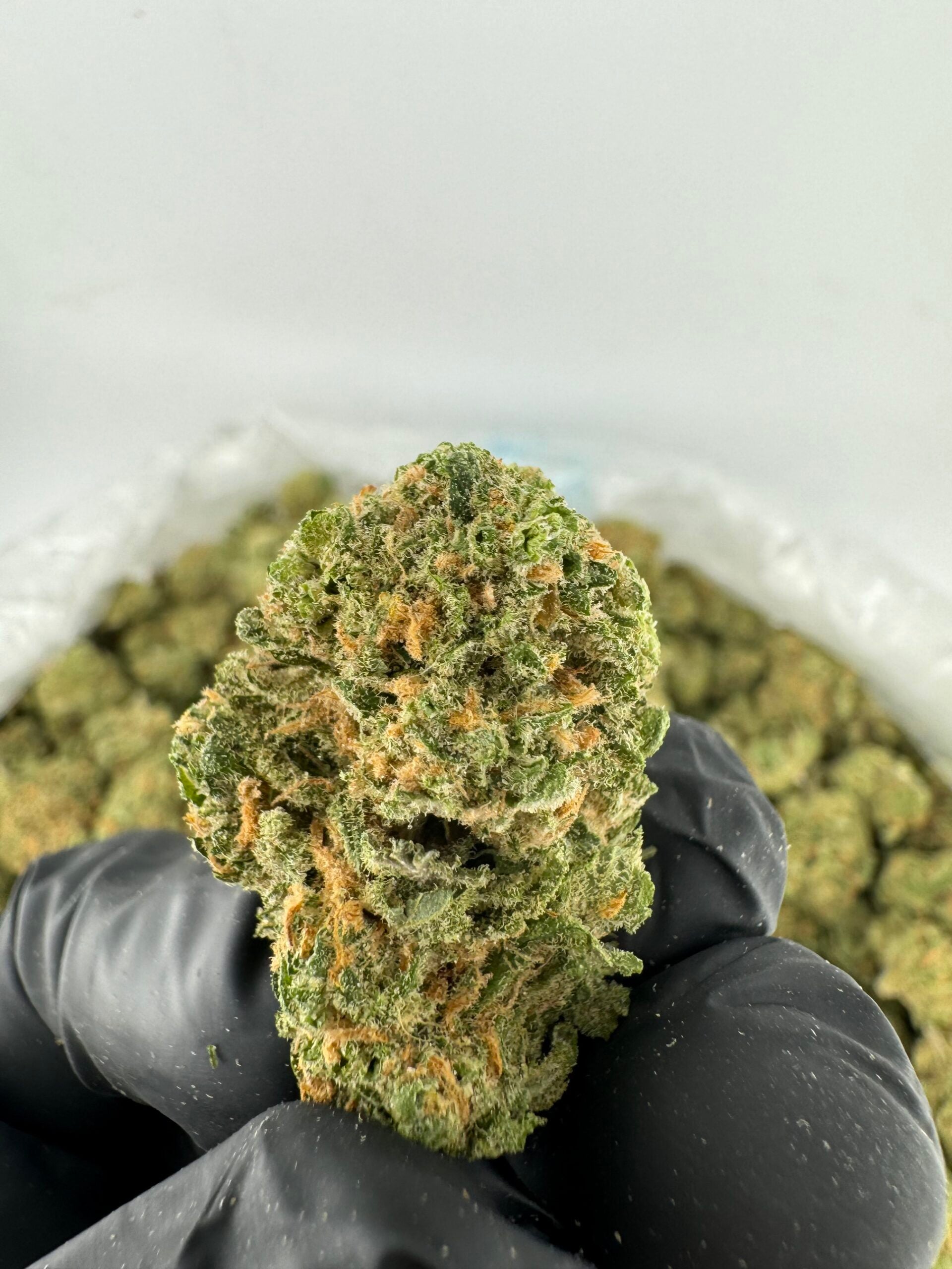 THCA Blue Dream