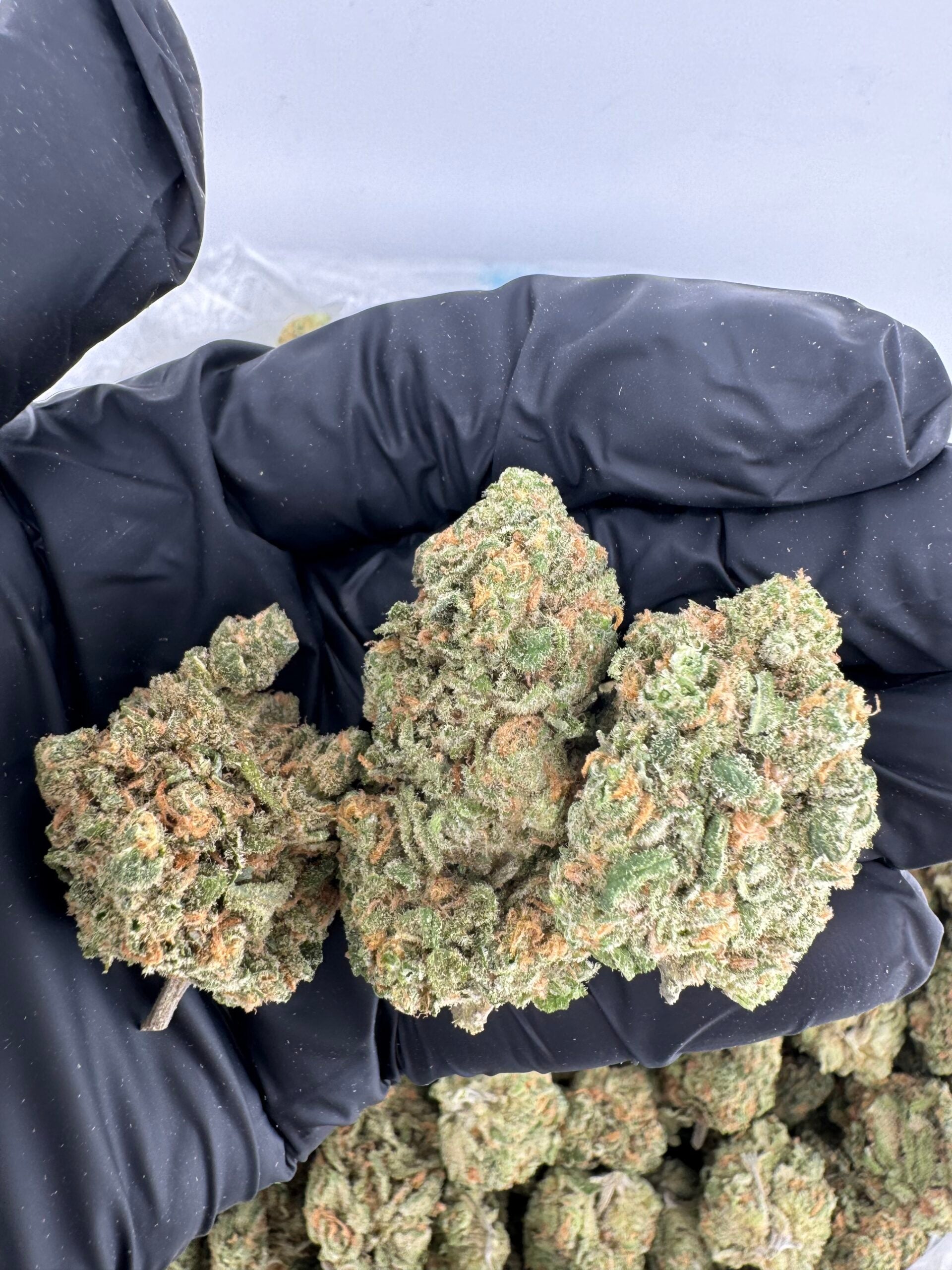 THCA Blue Dream