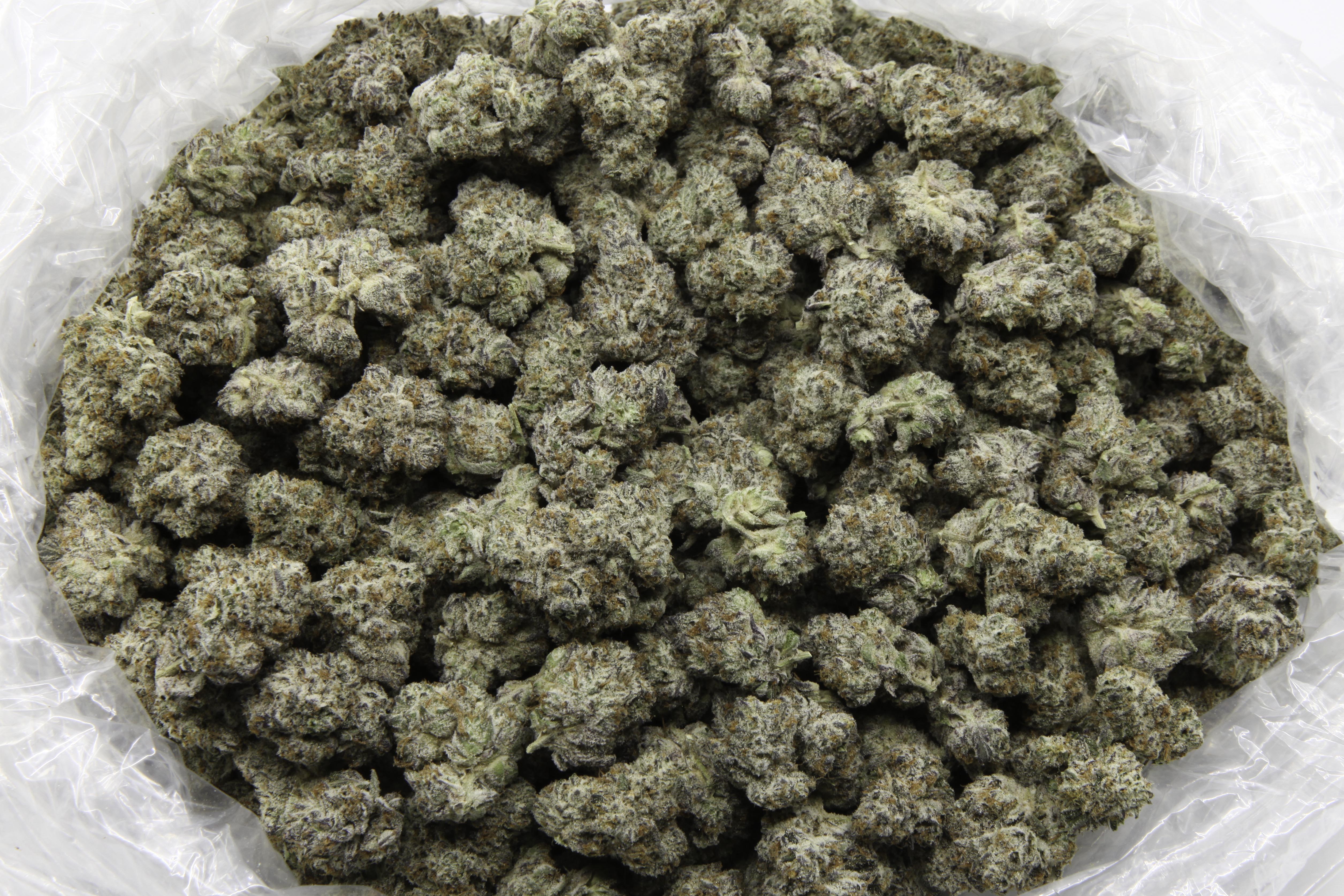 OREOZ - Indoor Exotic THCa Flower