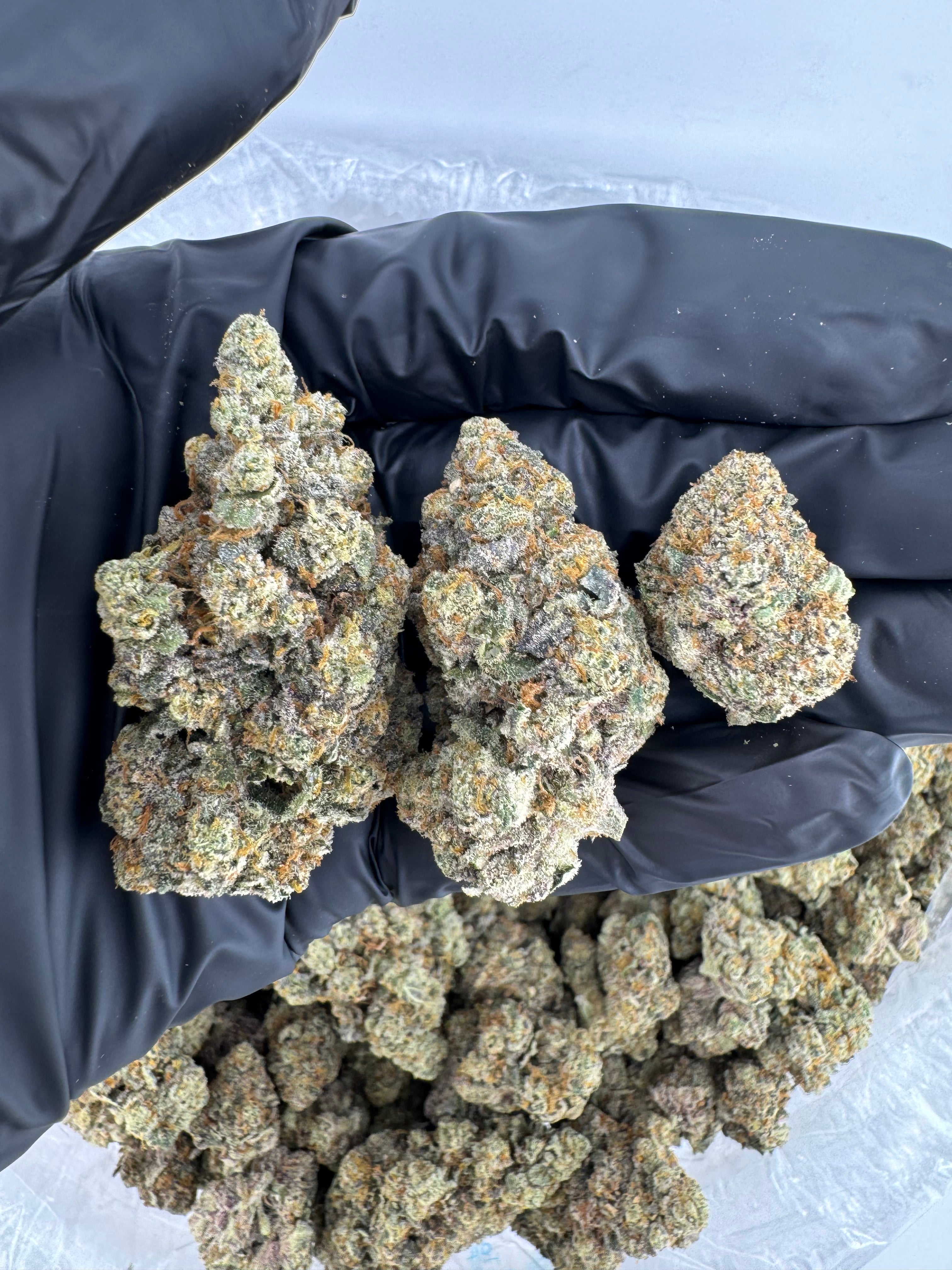 P85