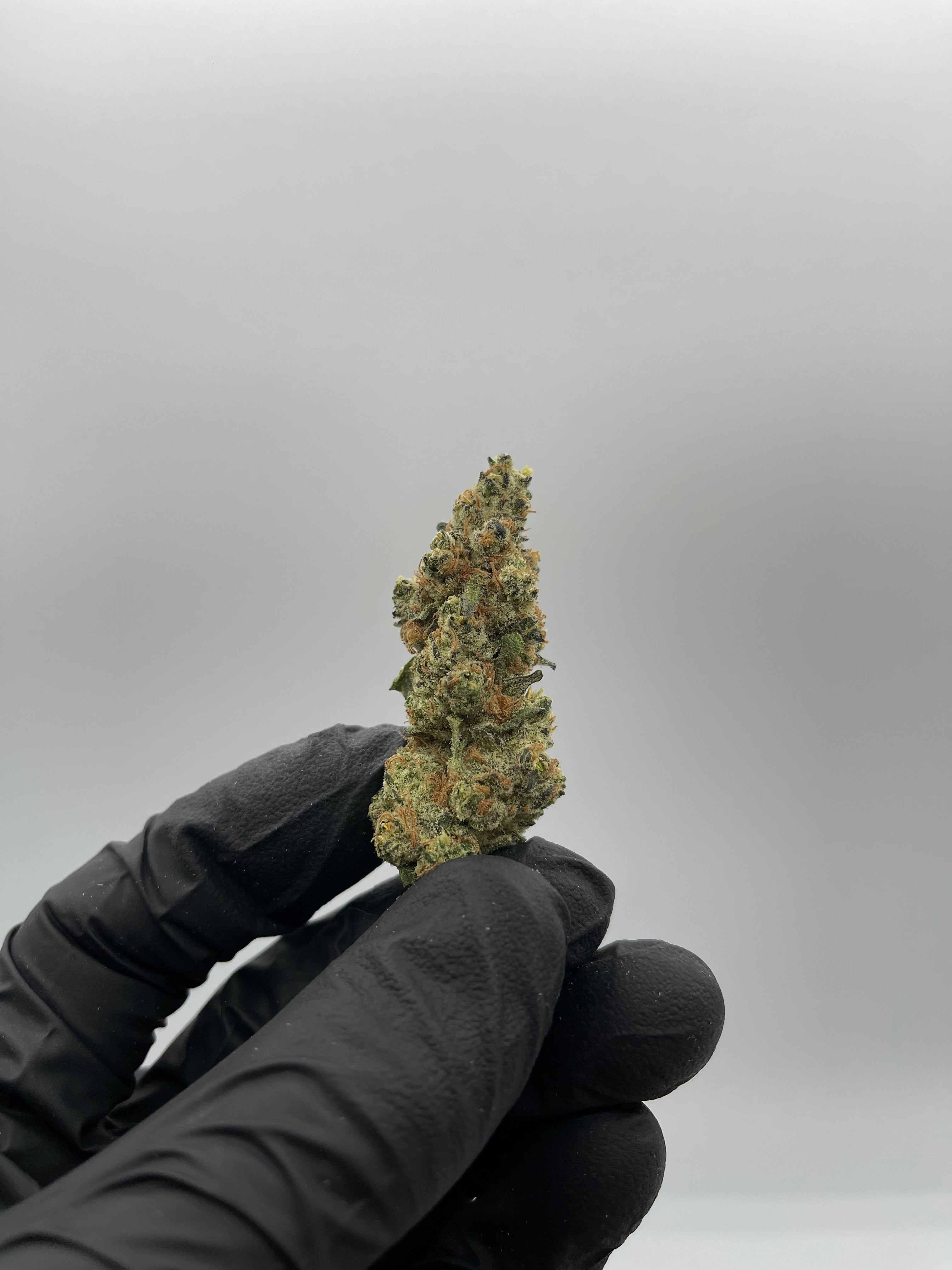 Peanut Butter Breath