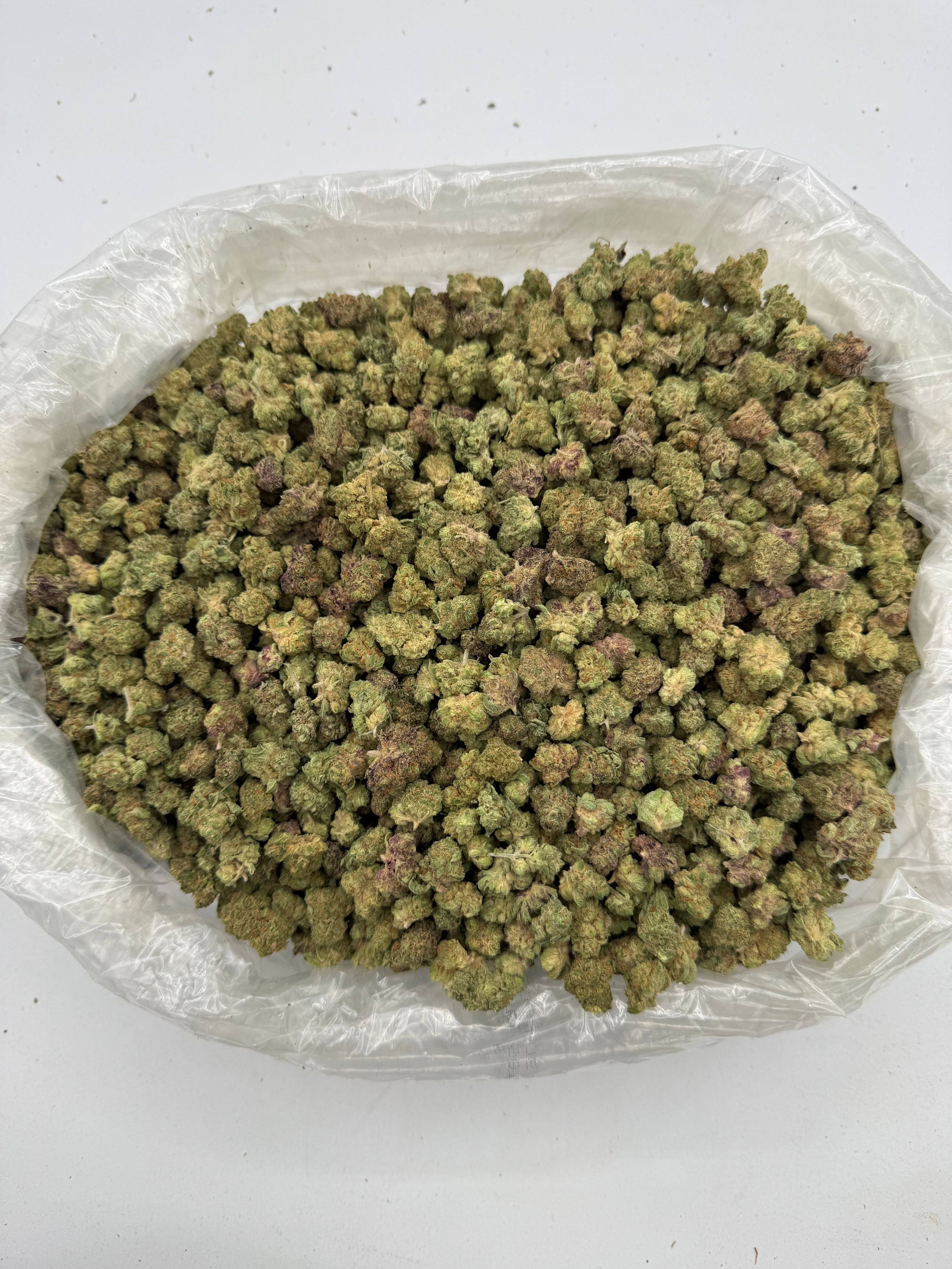 Gelato 33 Smalls