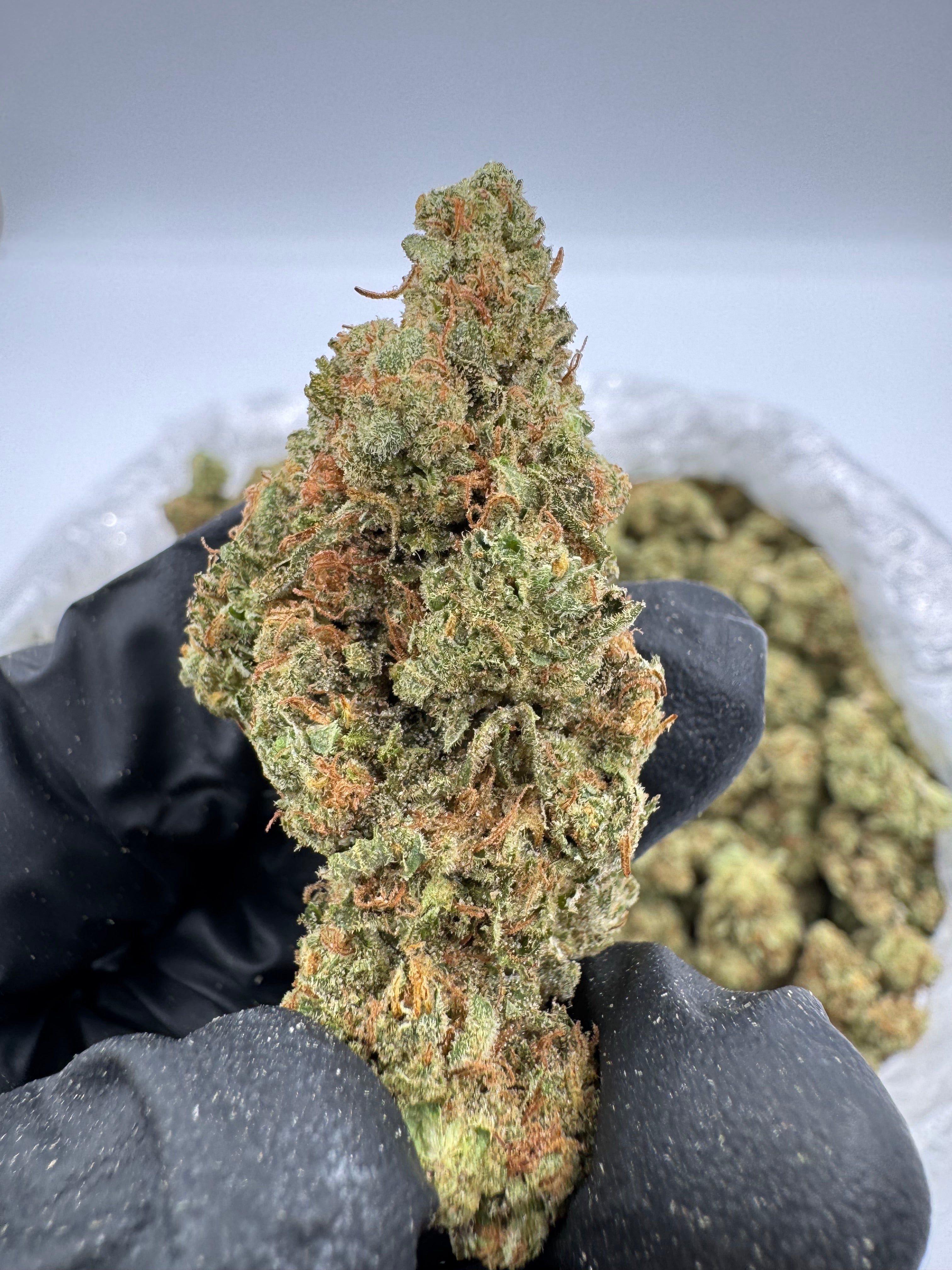 Alien OG