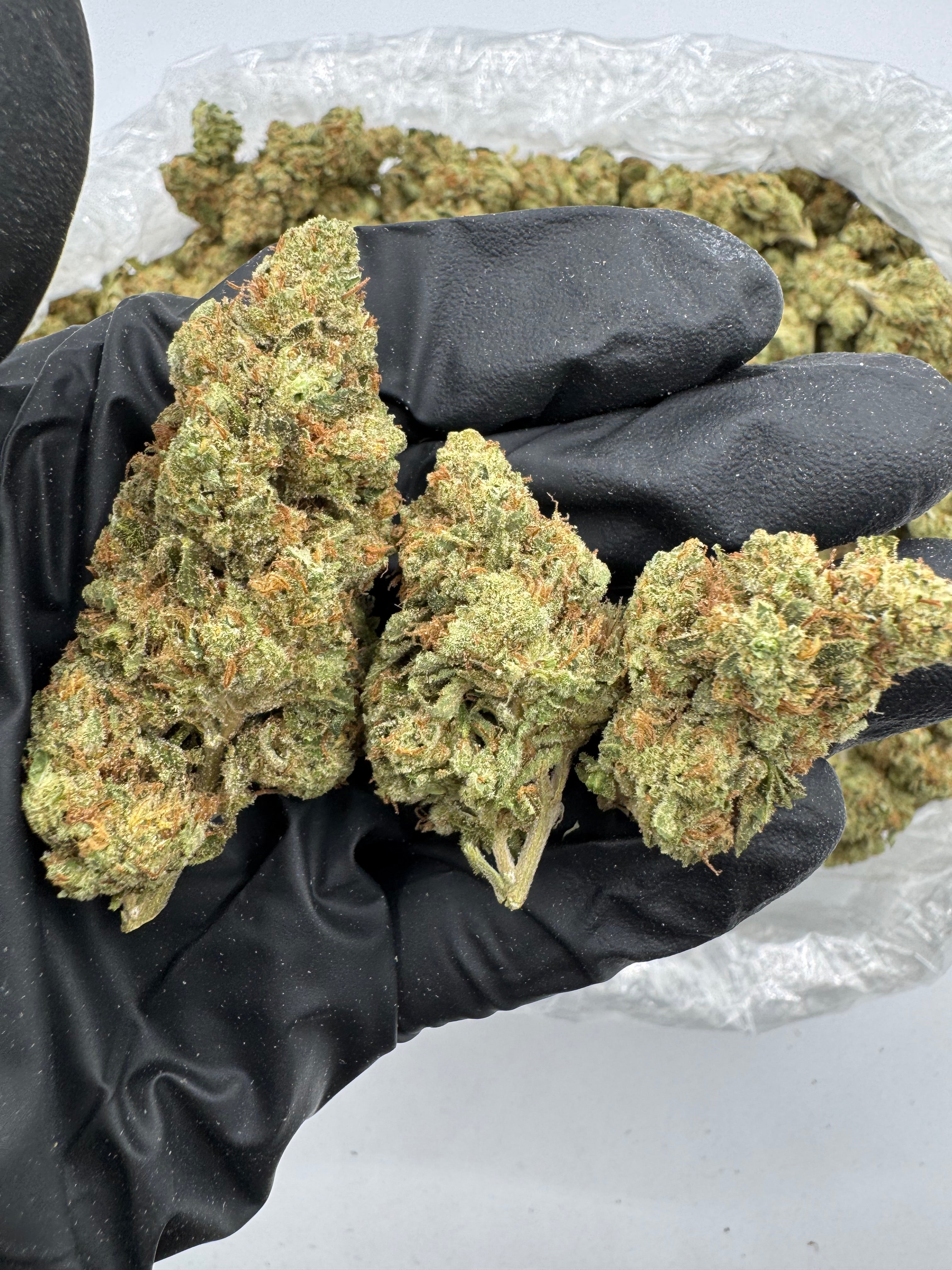 Alien OG