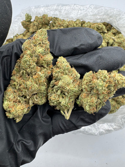 Alien OG