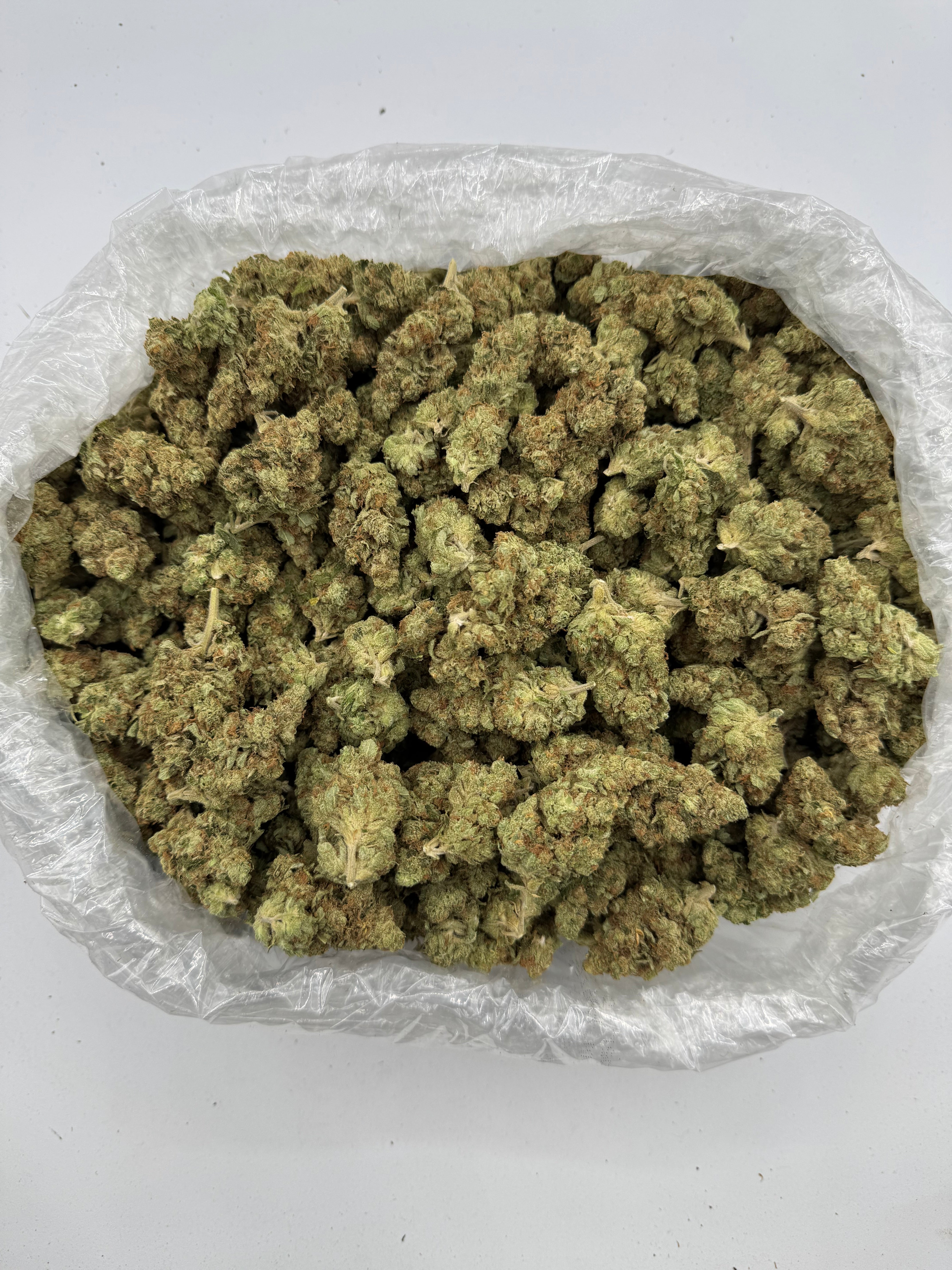 Alien OG