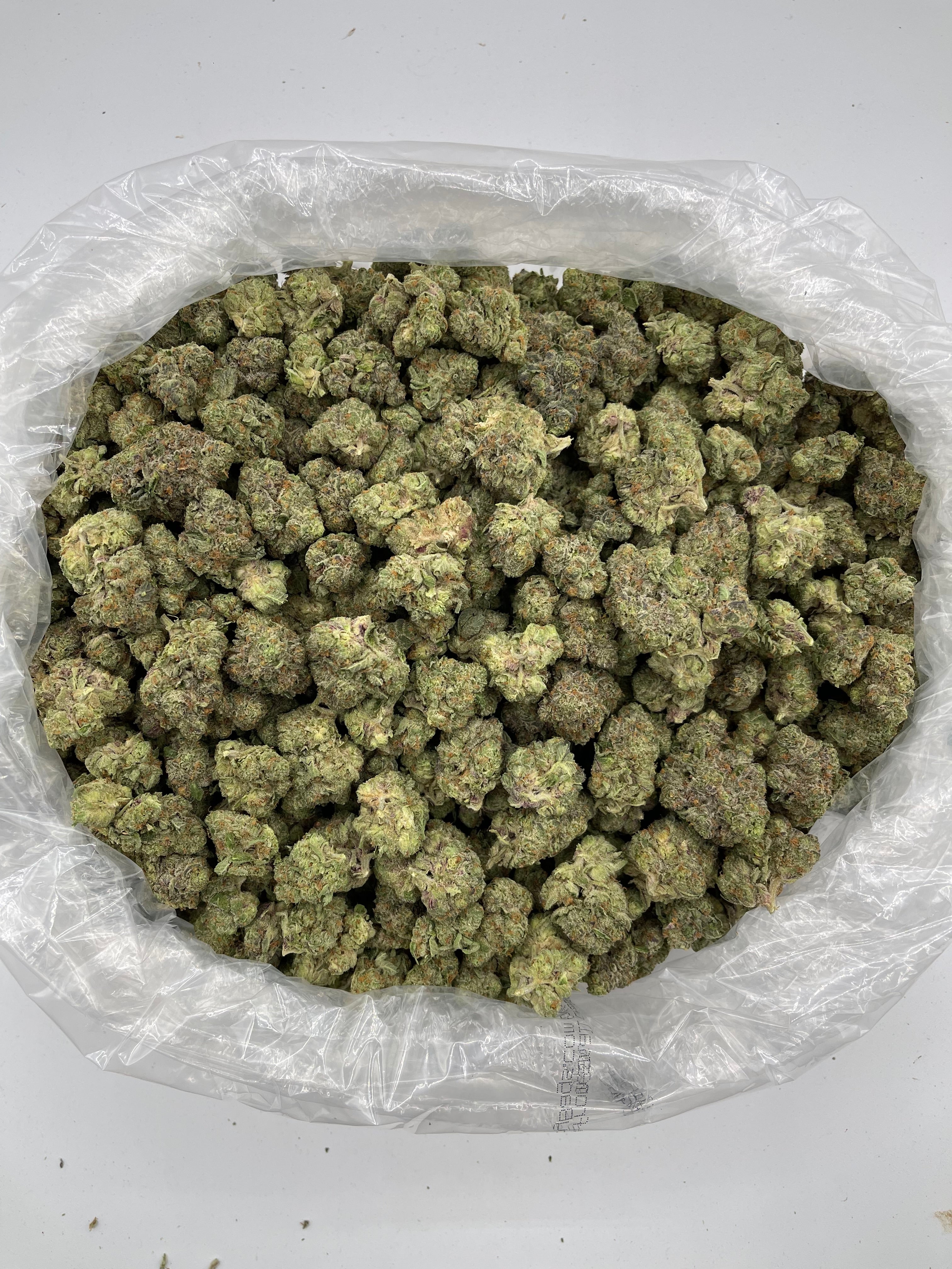 Apple Fritter