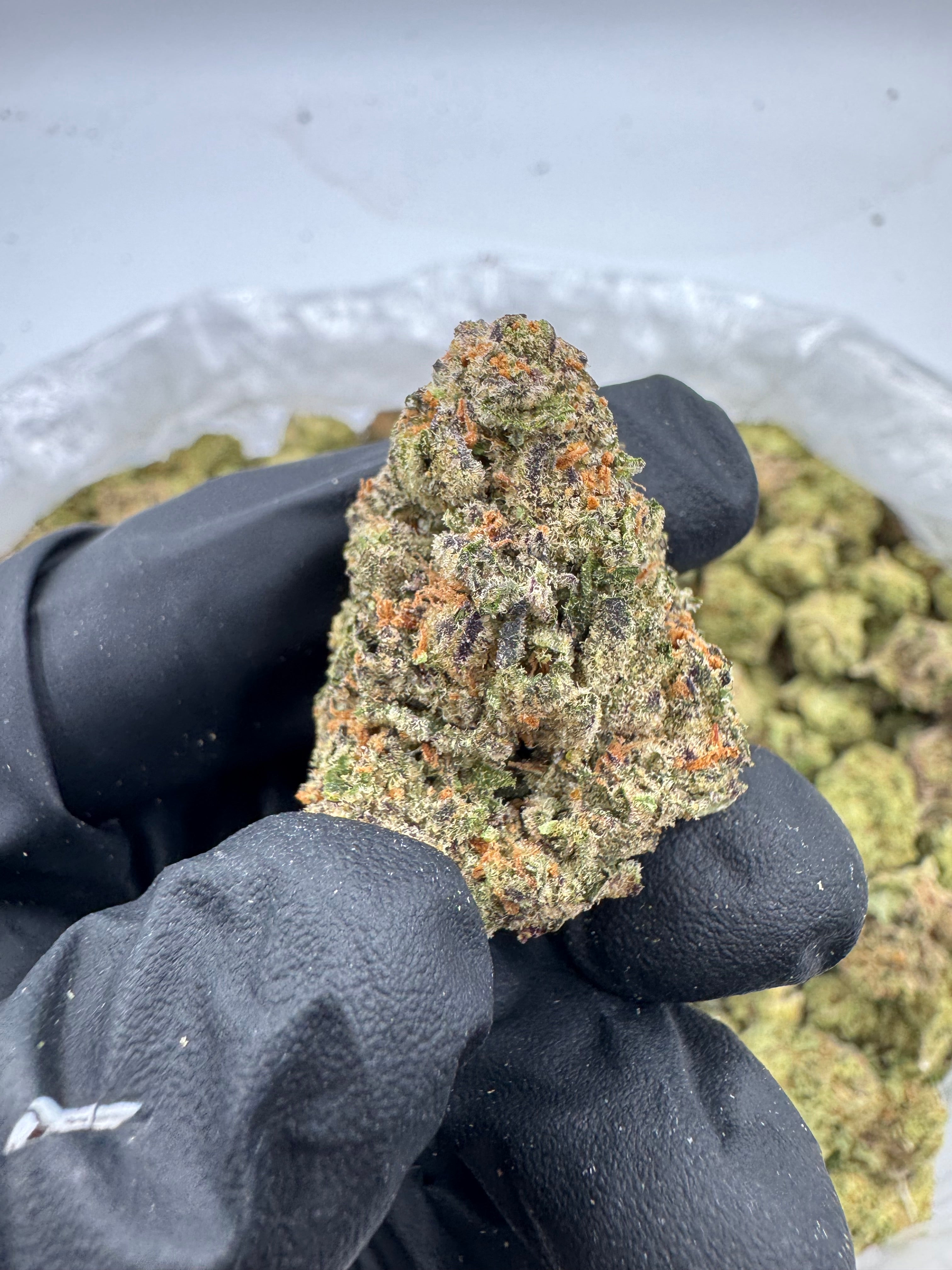 Bangkok Purple
