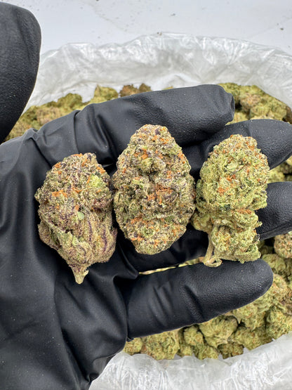 Bangkok Purple