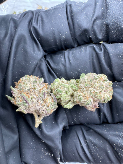 Blizzard Bars Smalls