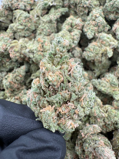 Blue Dream (MOTA)