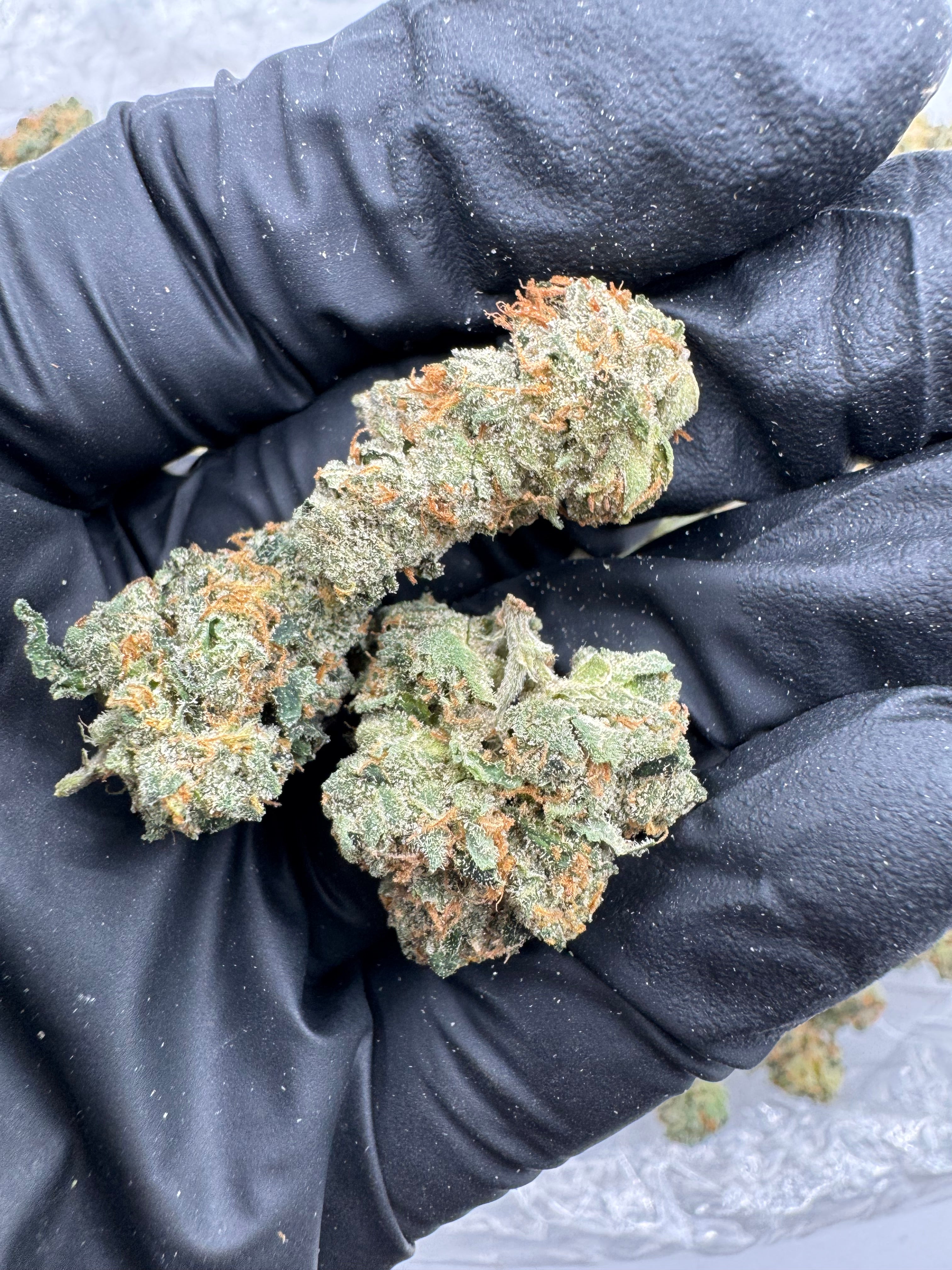 Bubblegum Smalls