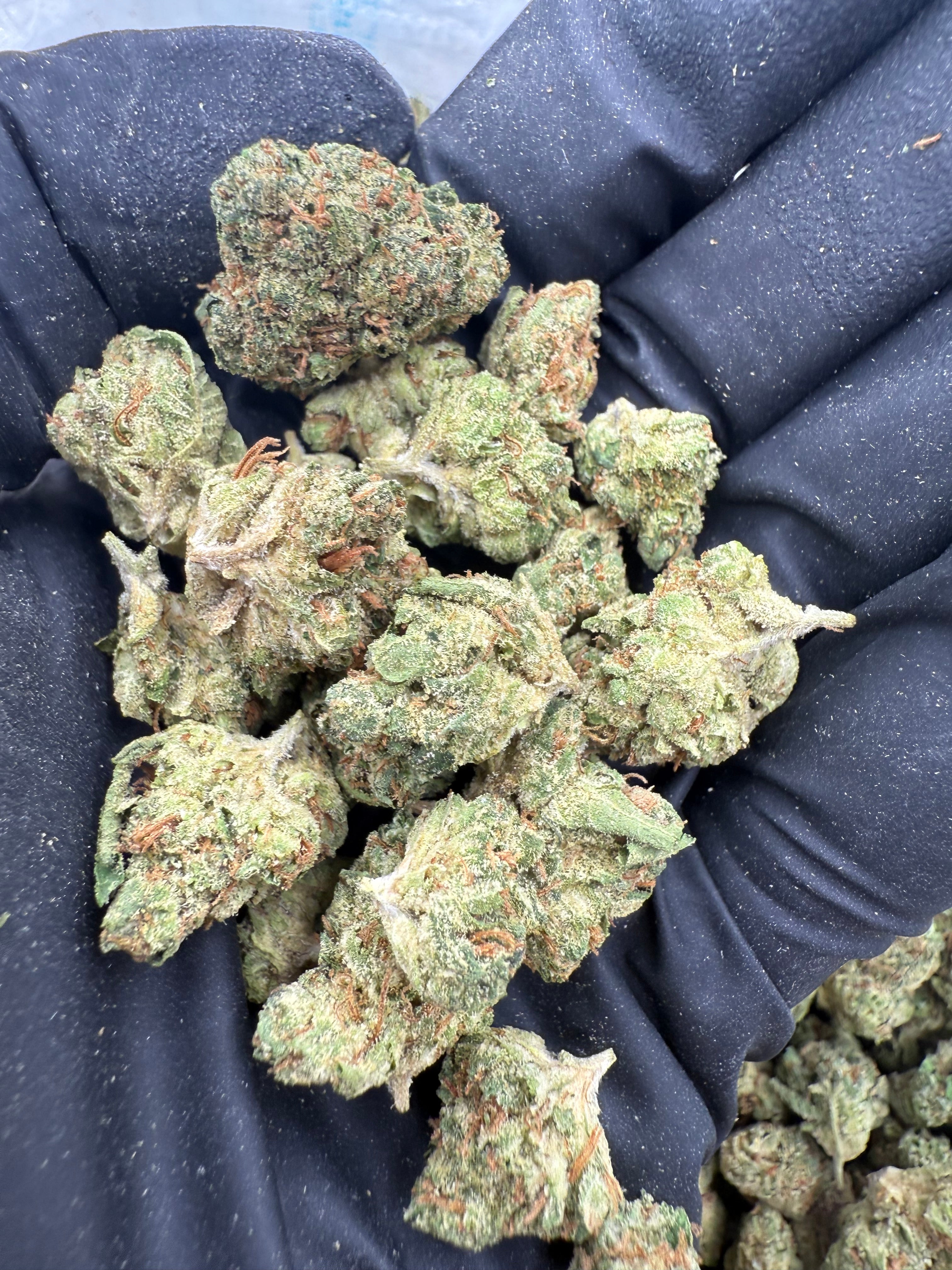 Curaçao Smalls