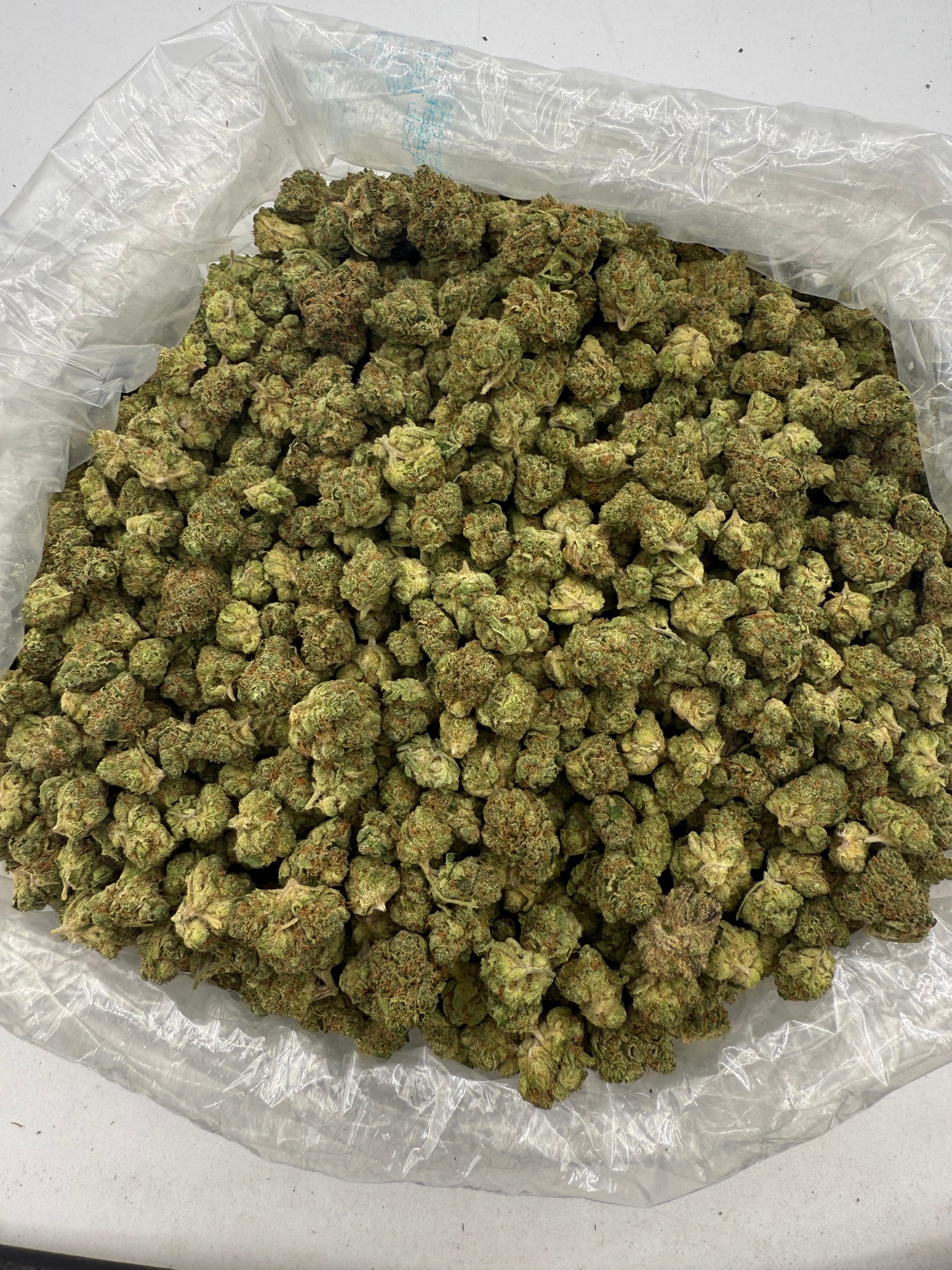 Curaçao Smalls