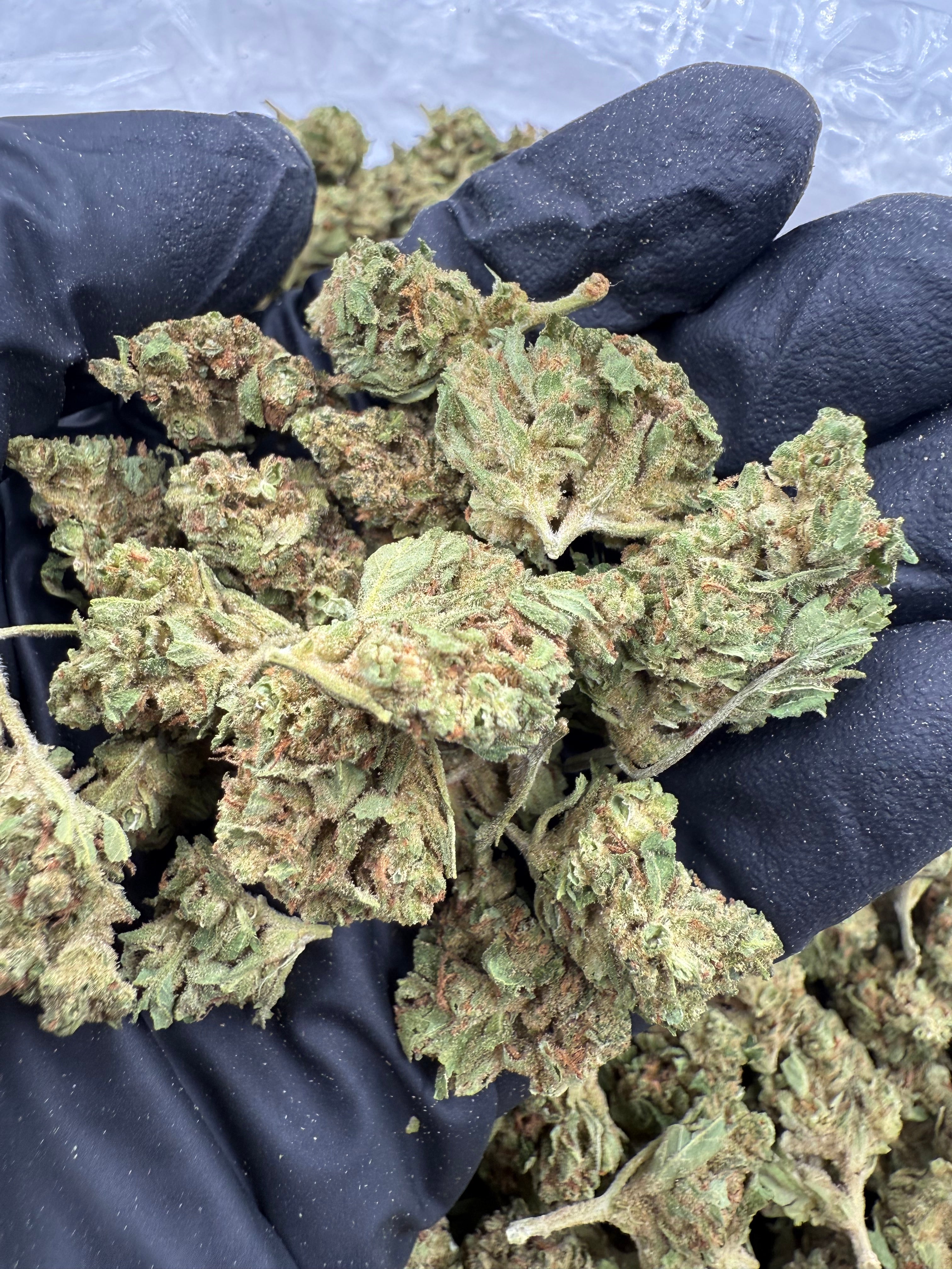 Durban Poison Small Lows