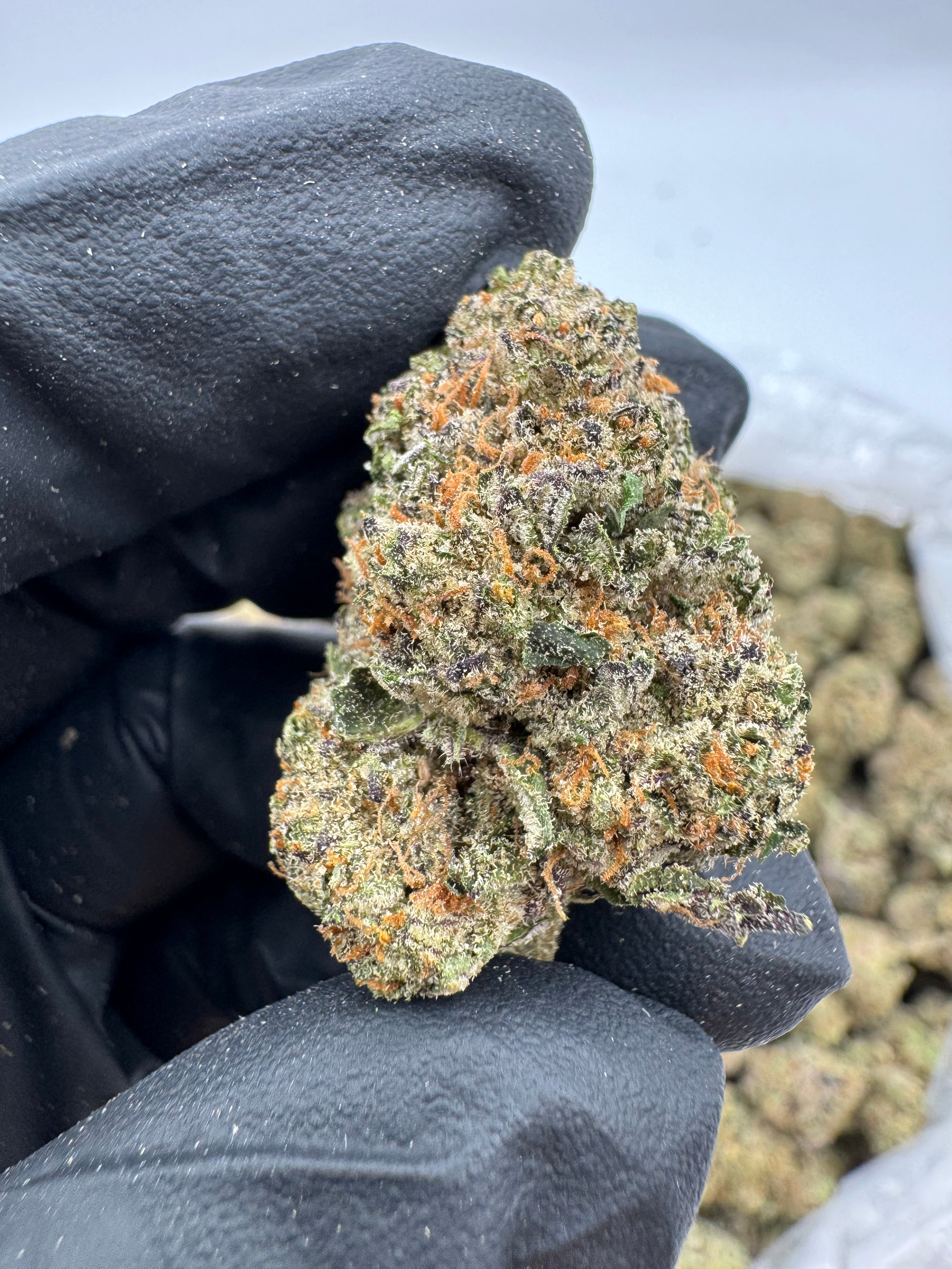 Future Haze