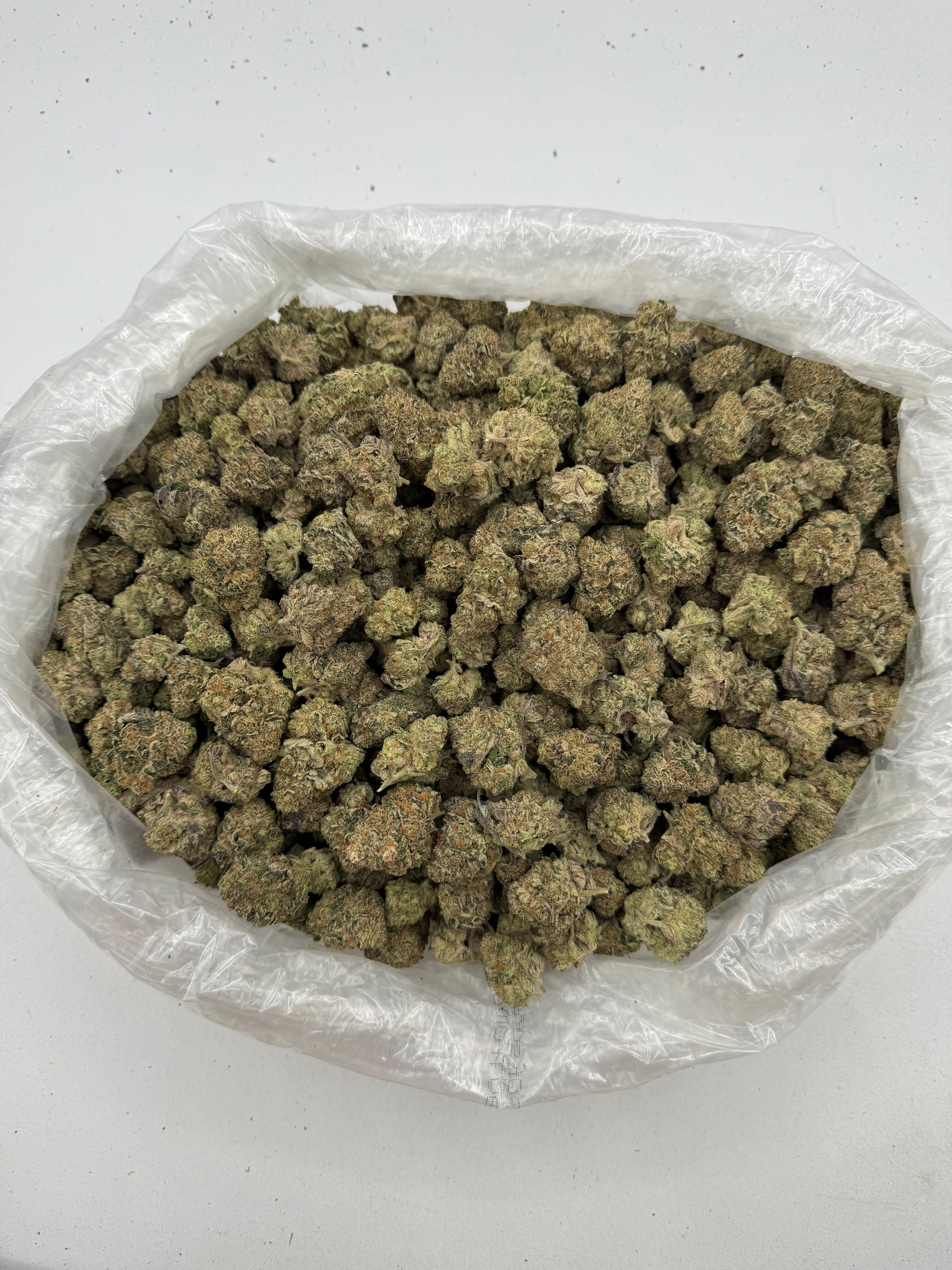Future Haze