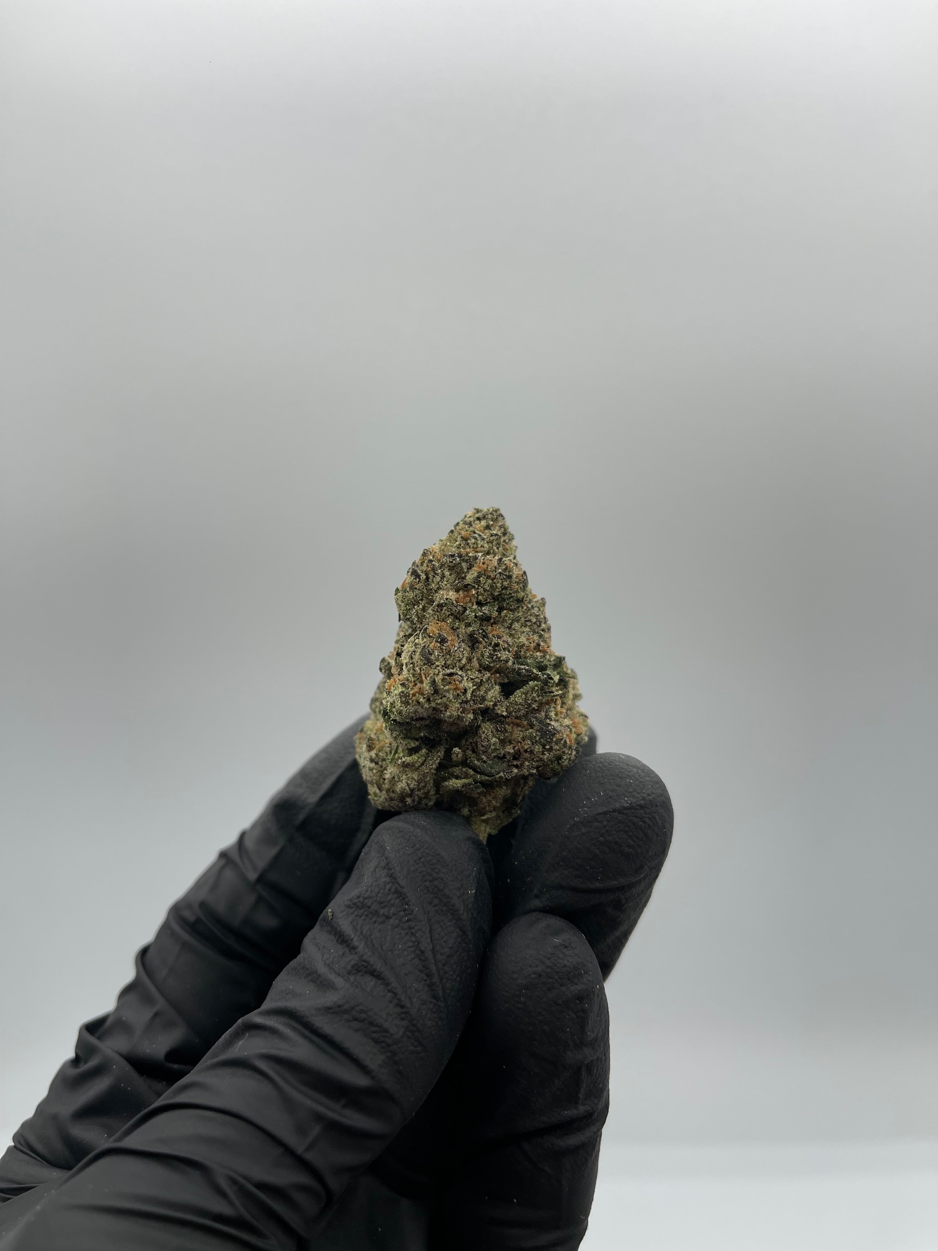 Gelato 42