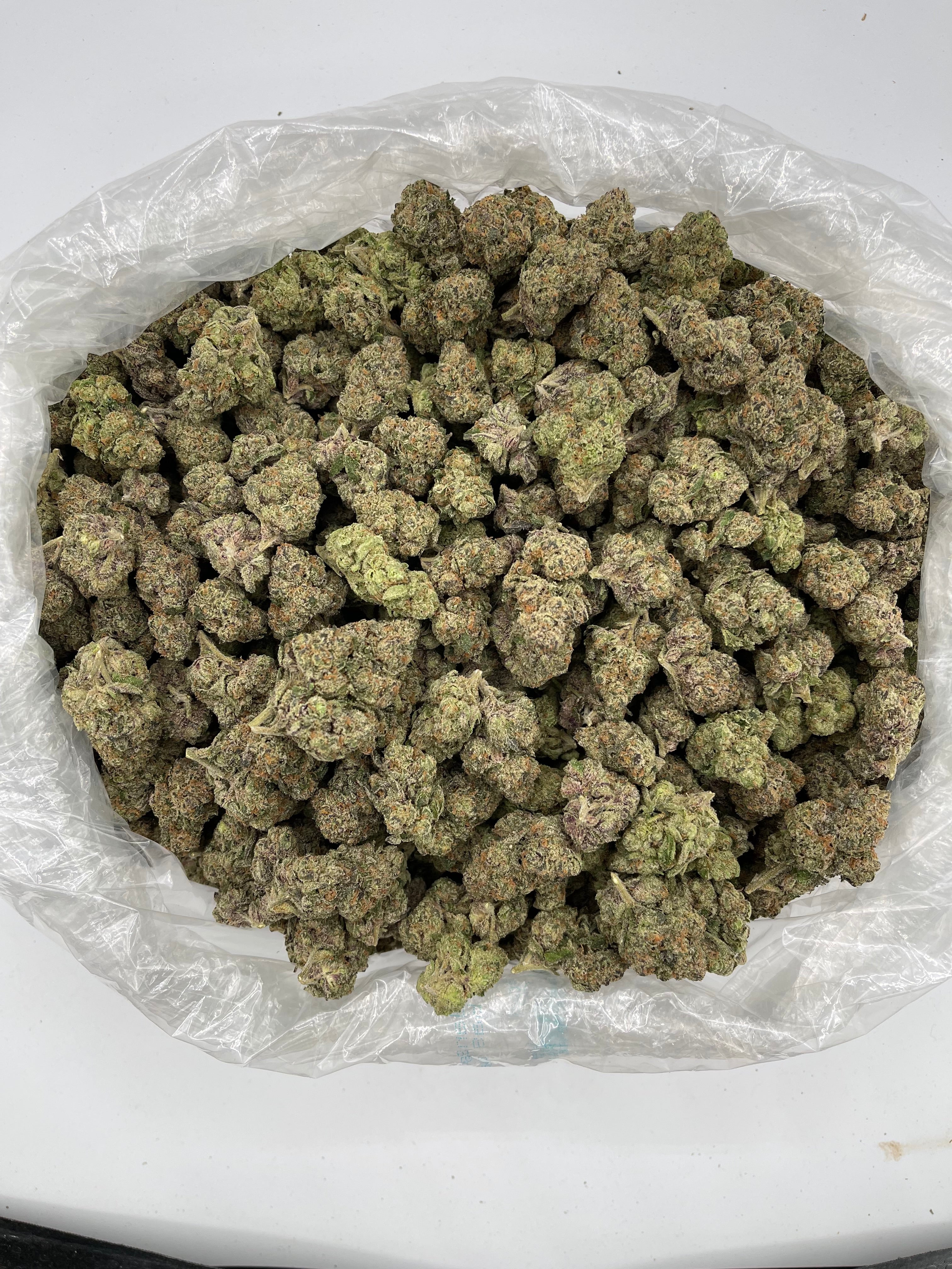 Gelato 42