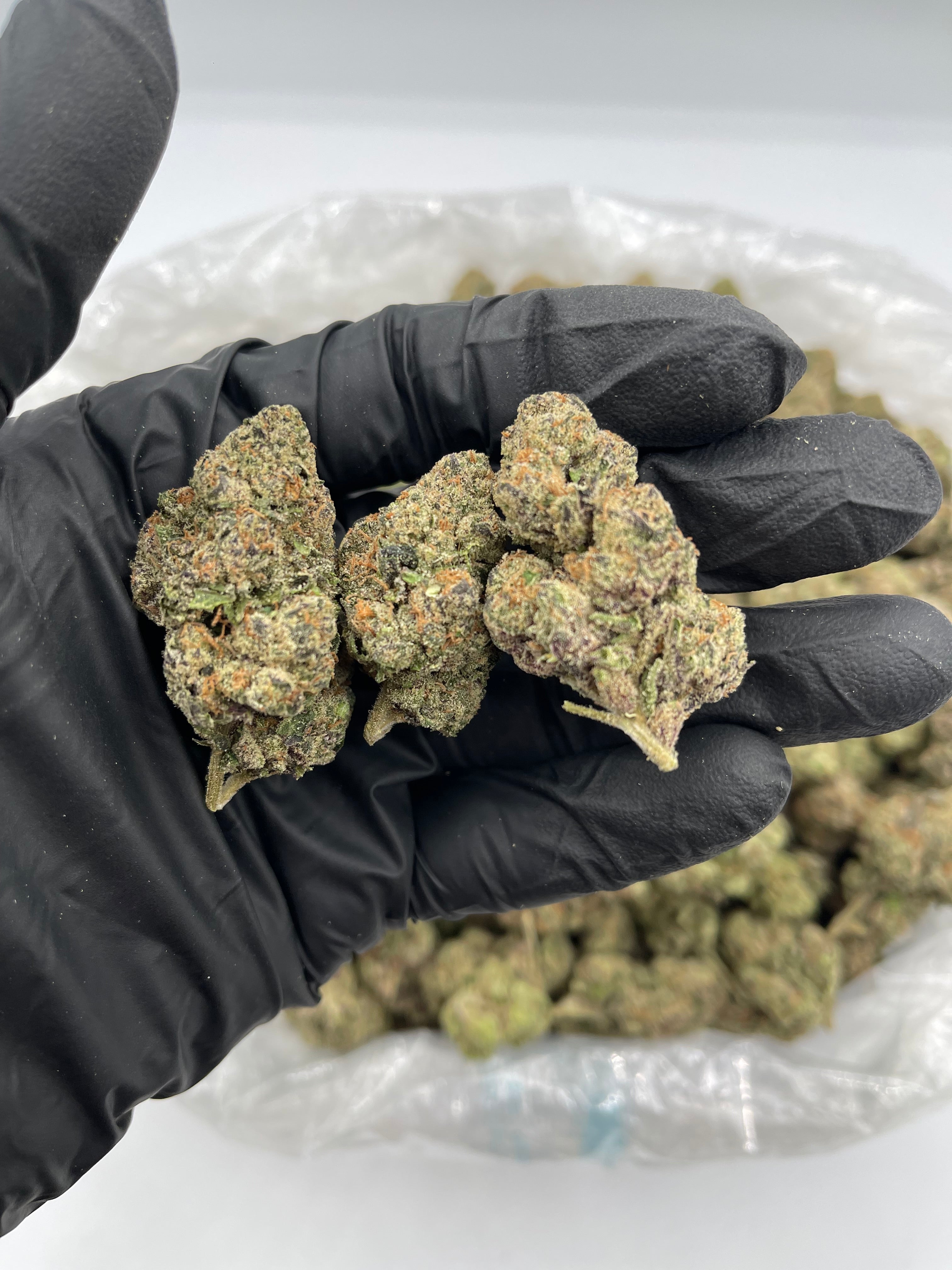 Gelato 42