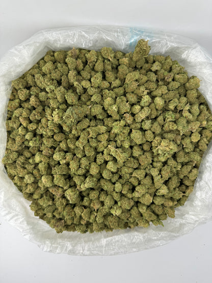 Gelato 42 Smalls