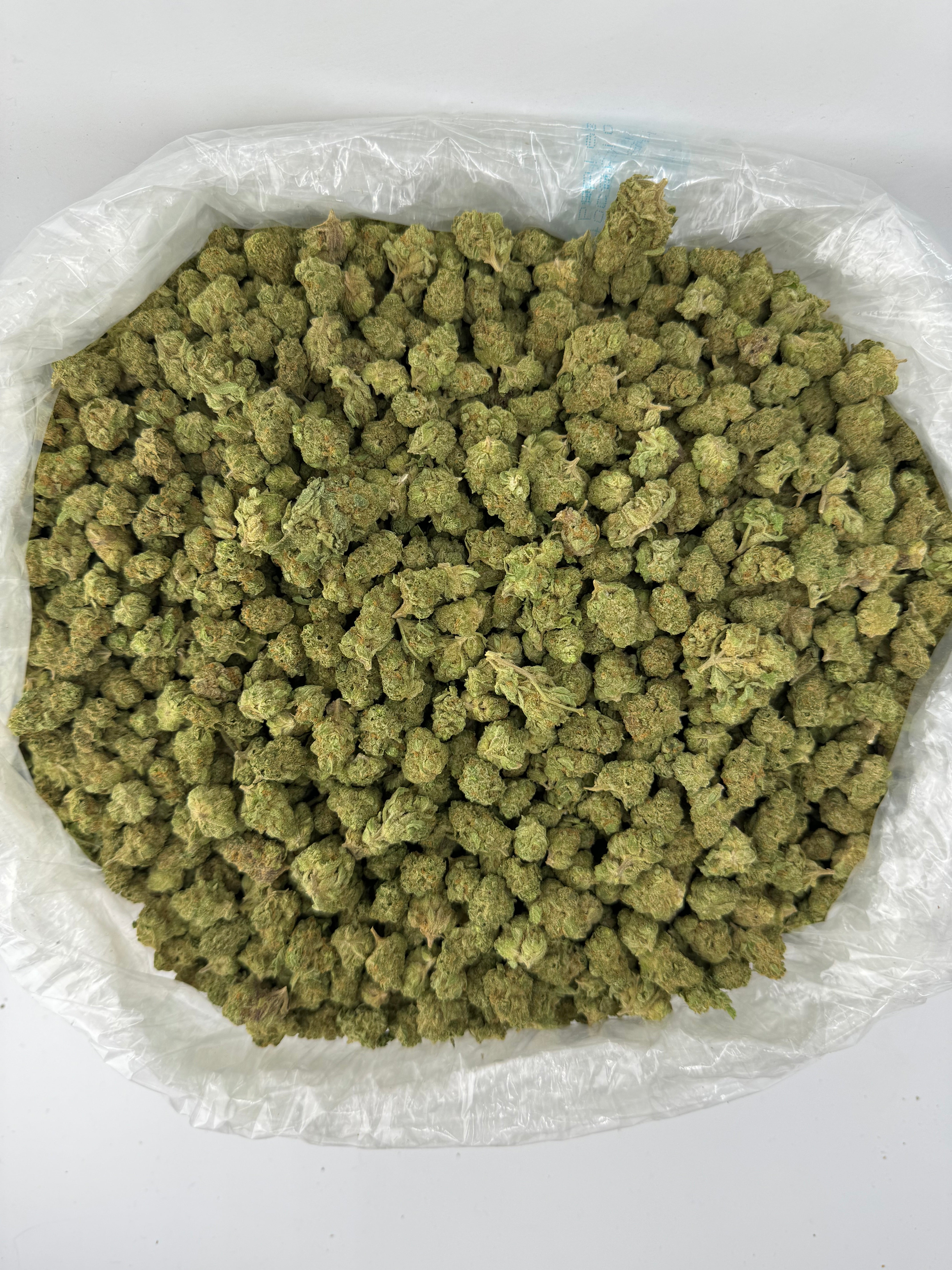Gelato 42 Smalls