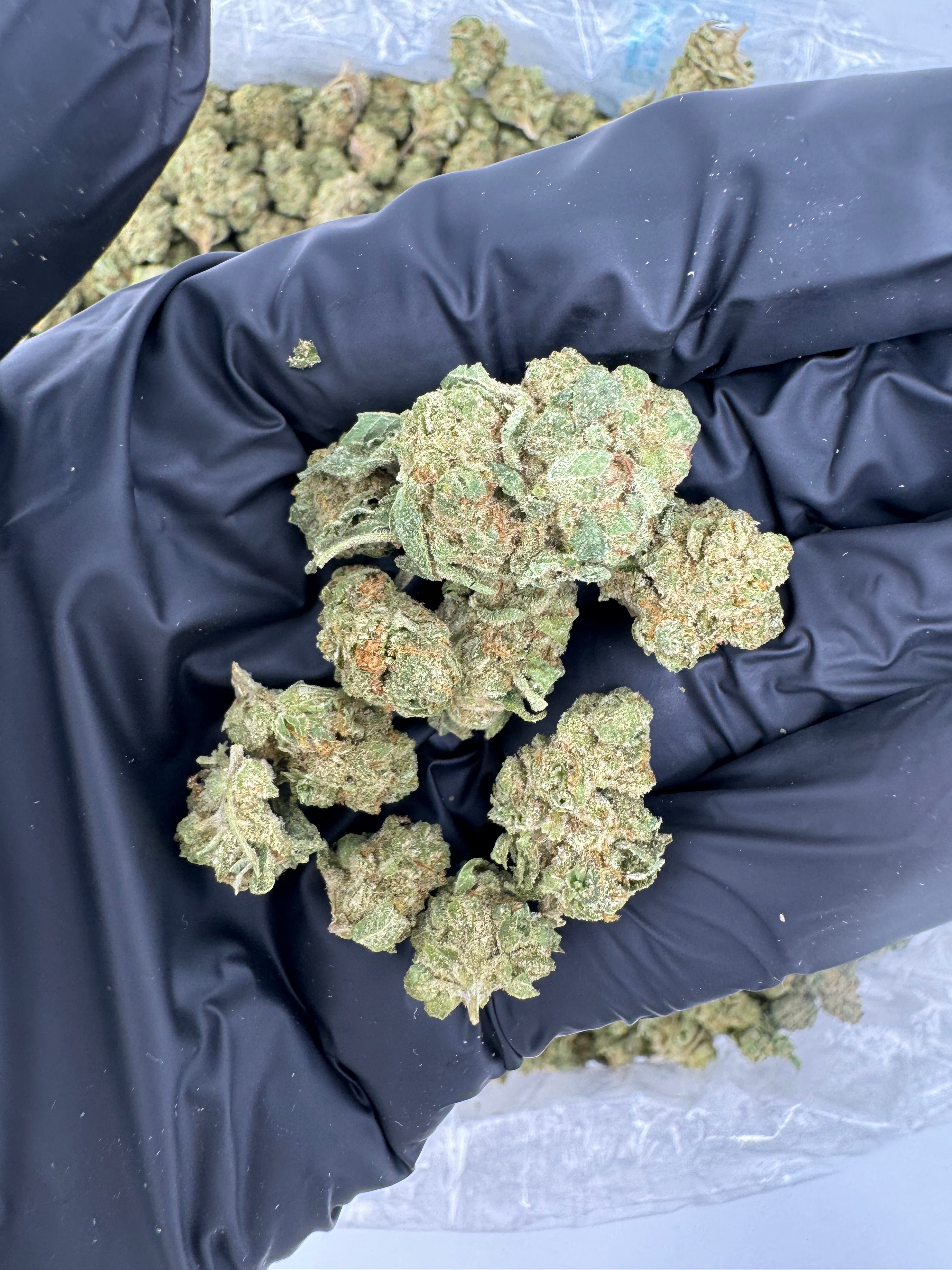 Gelato 42 Smalls