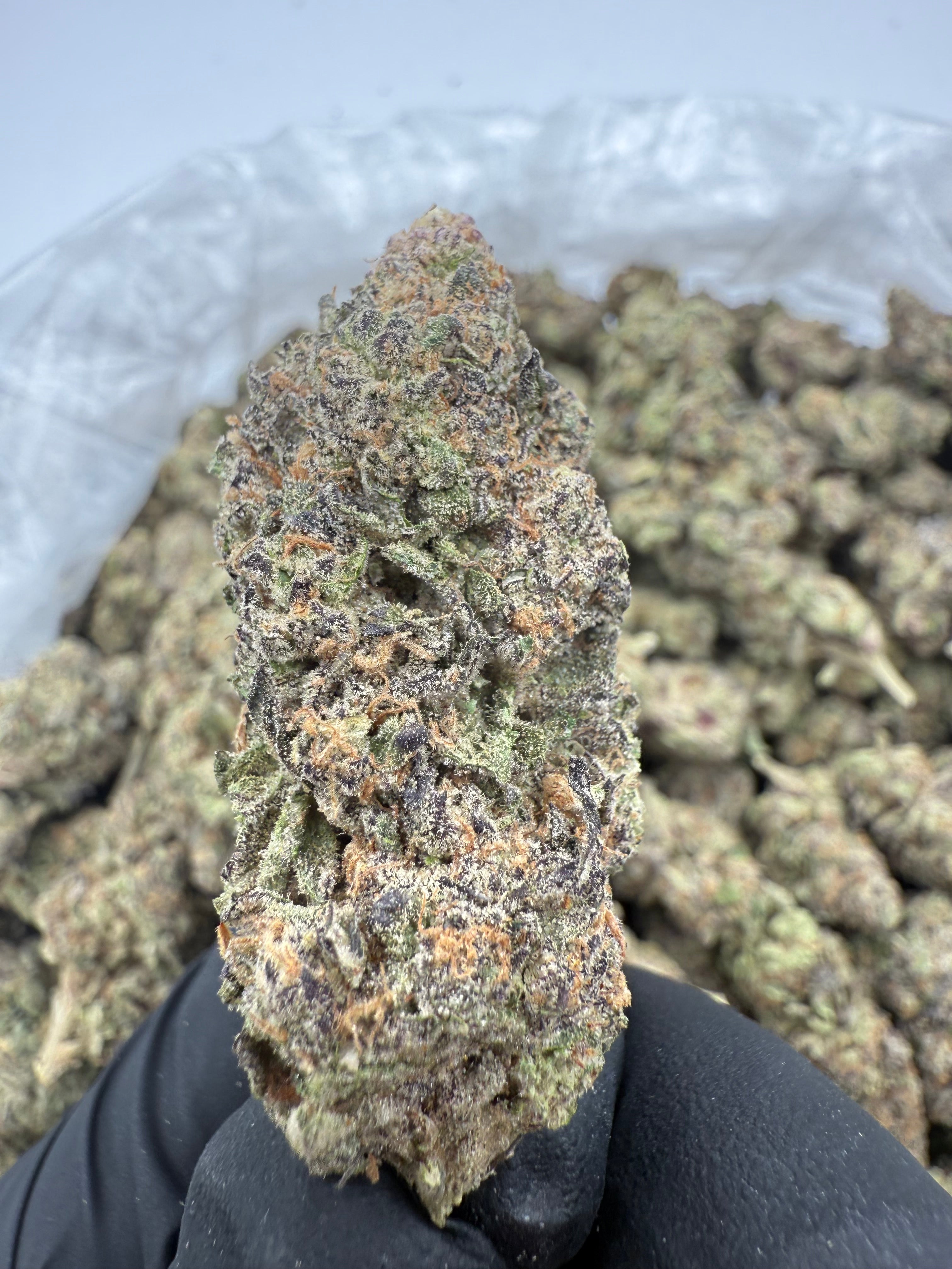 Gelato Cake