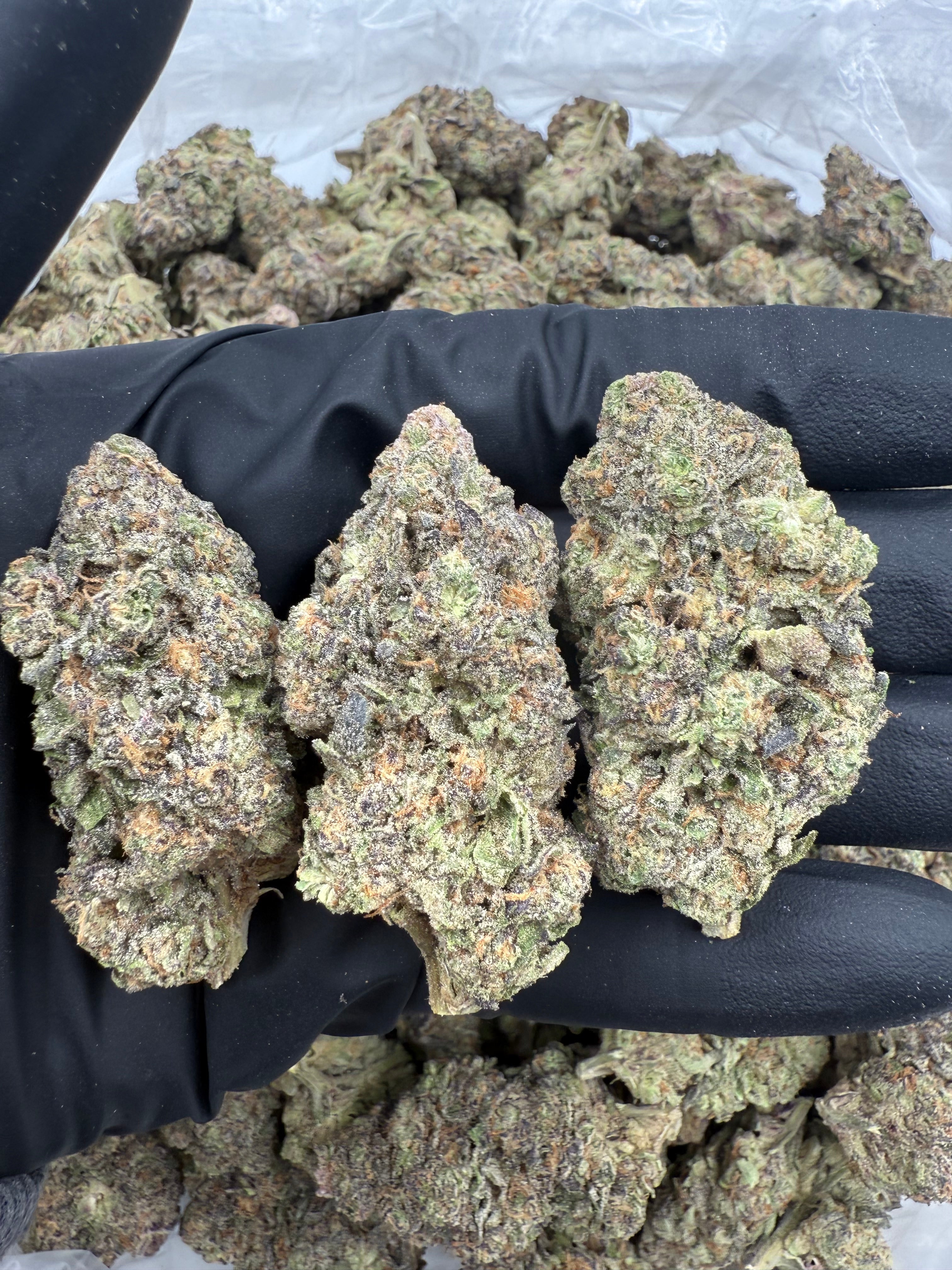 Gelato Cake