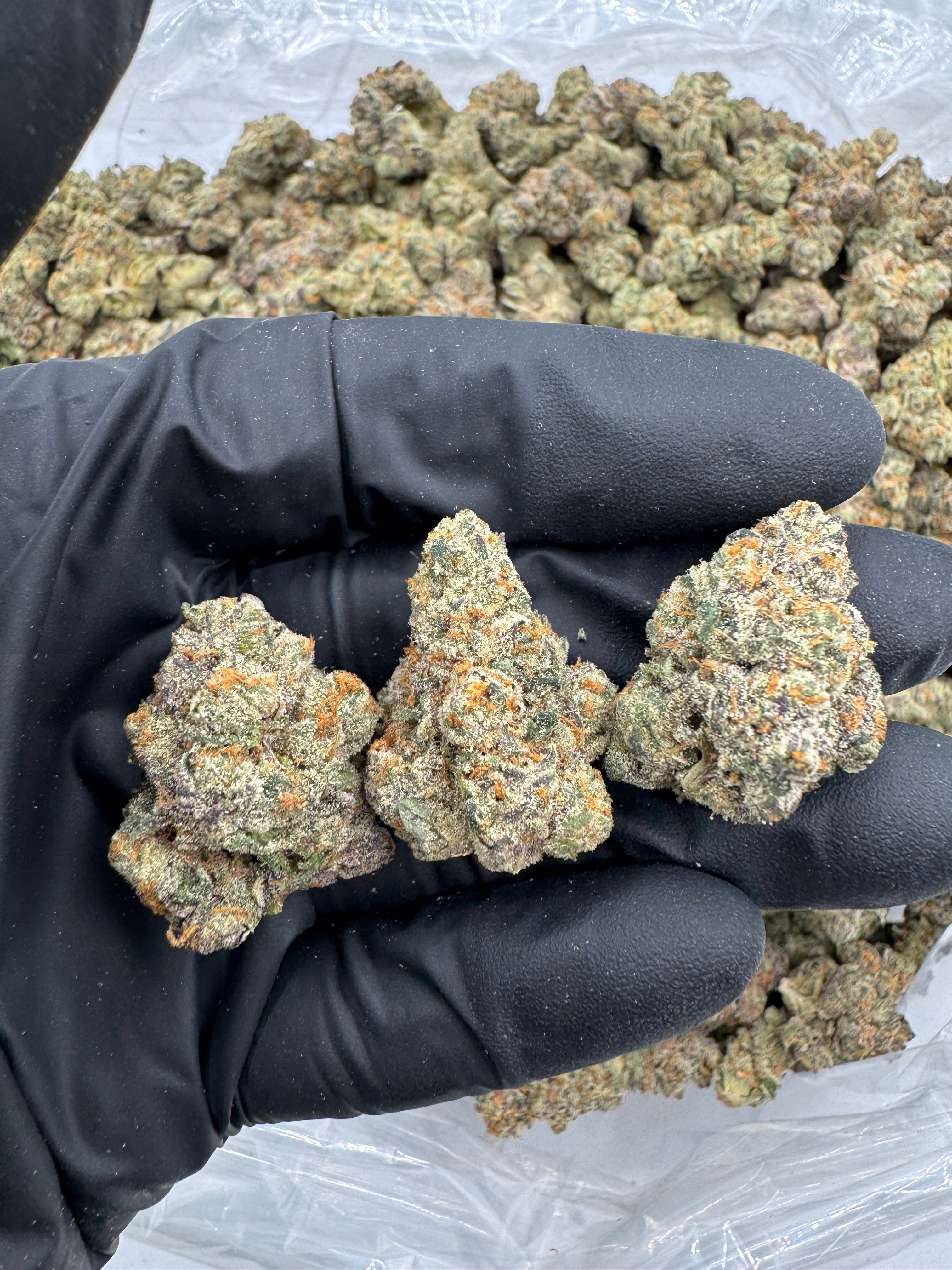 Gello Gelato