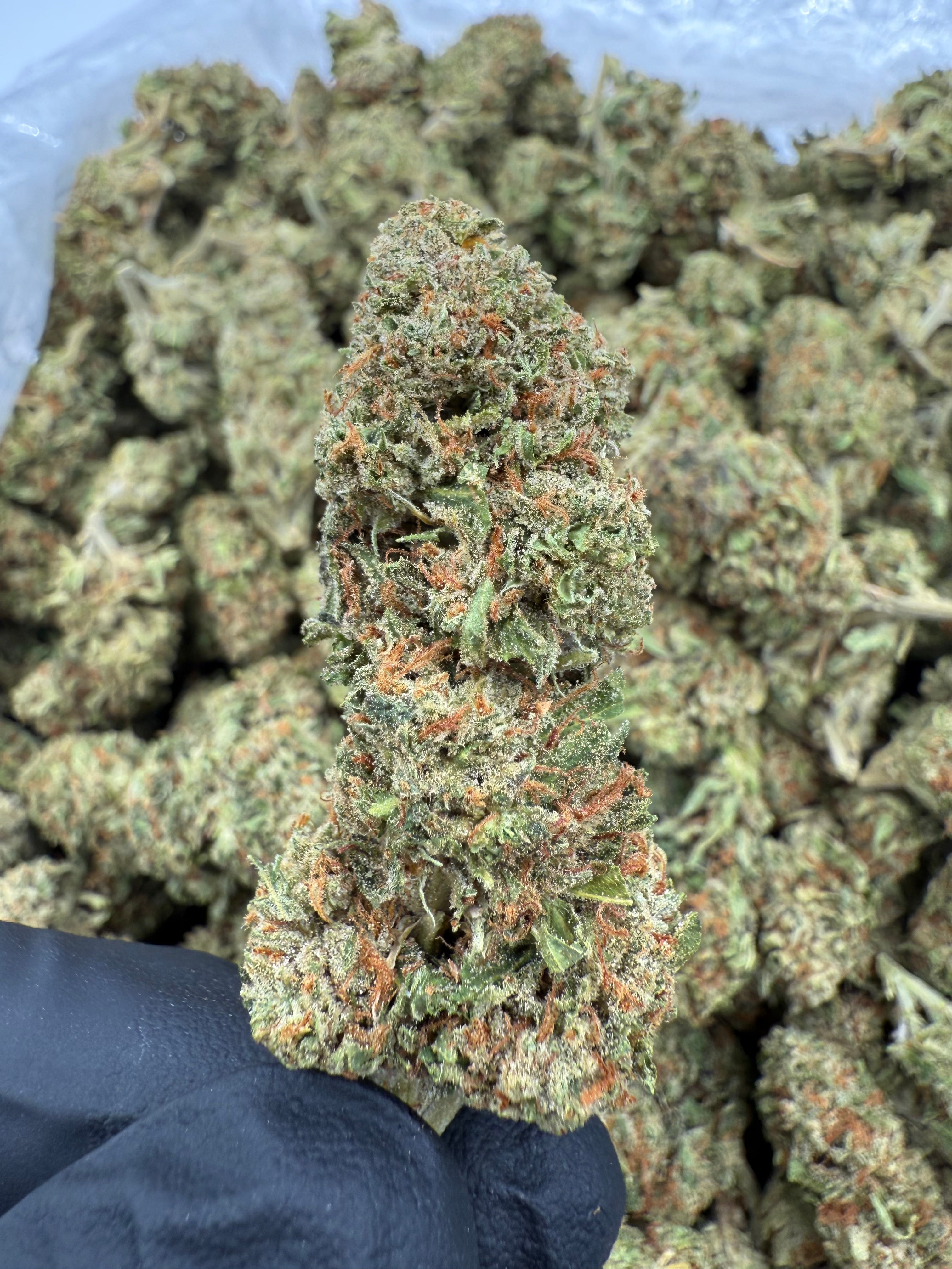 Ghost Vapor OG Deps