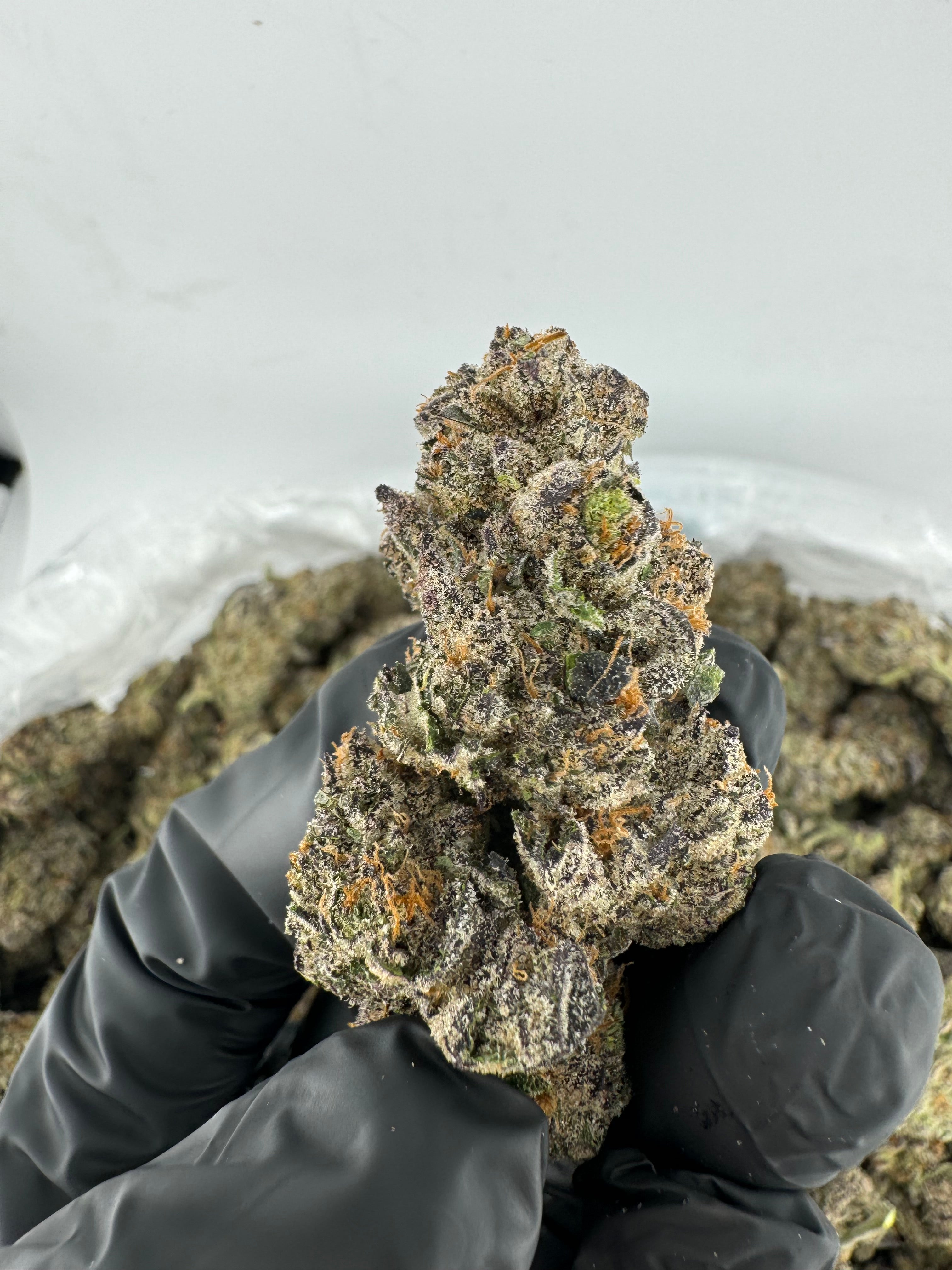 Girl Scout Cookies