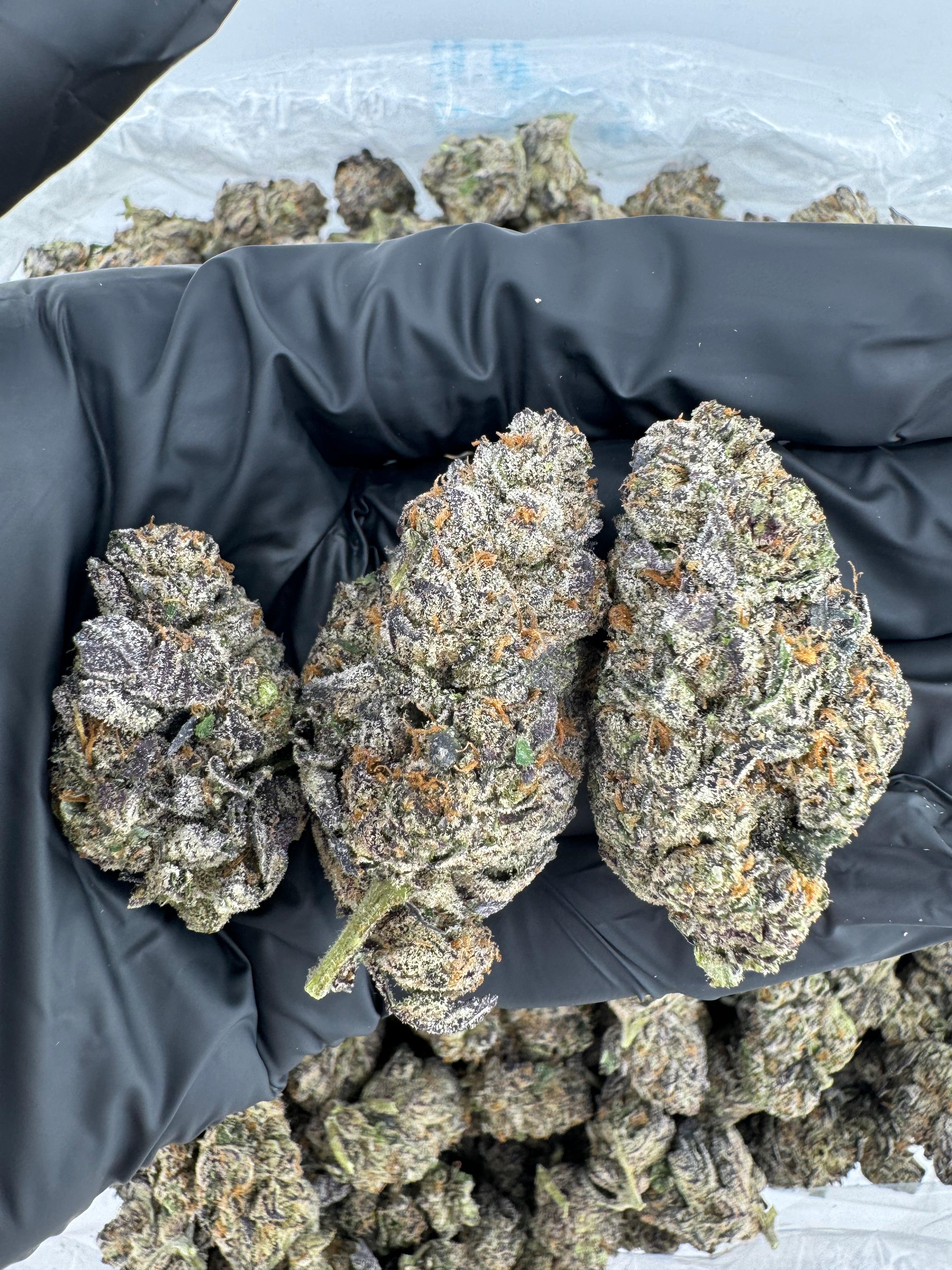 Girl Scout Cookies