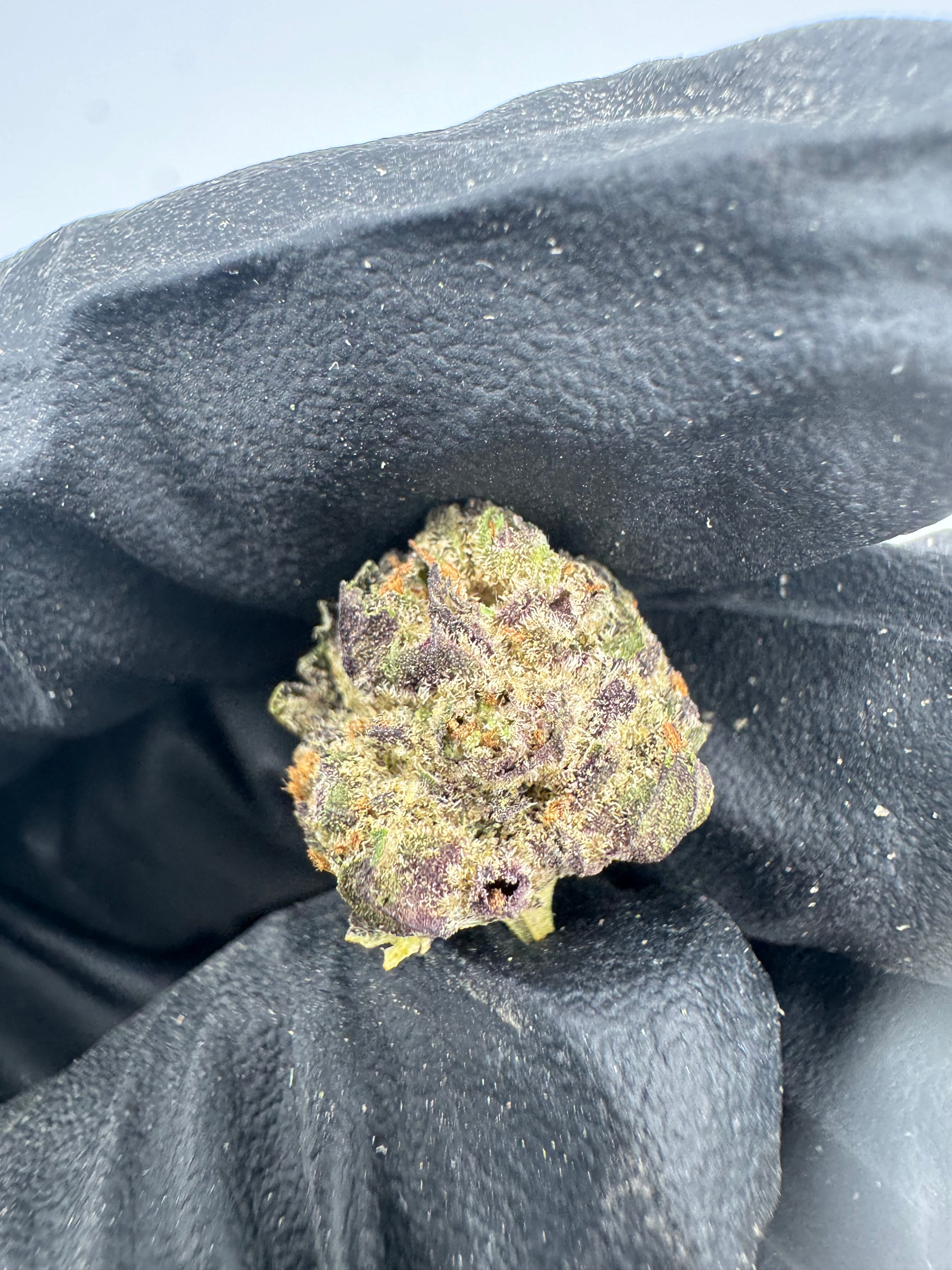 Girl Scout Cookies Smalls