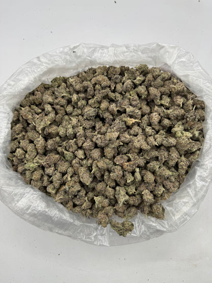 Governmint Oasis Smalls