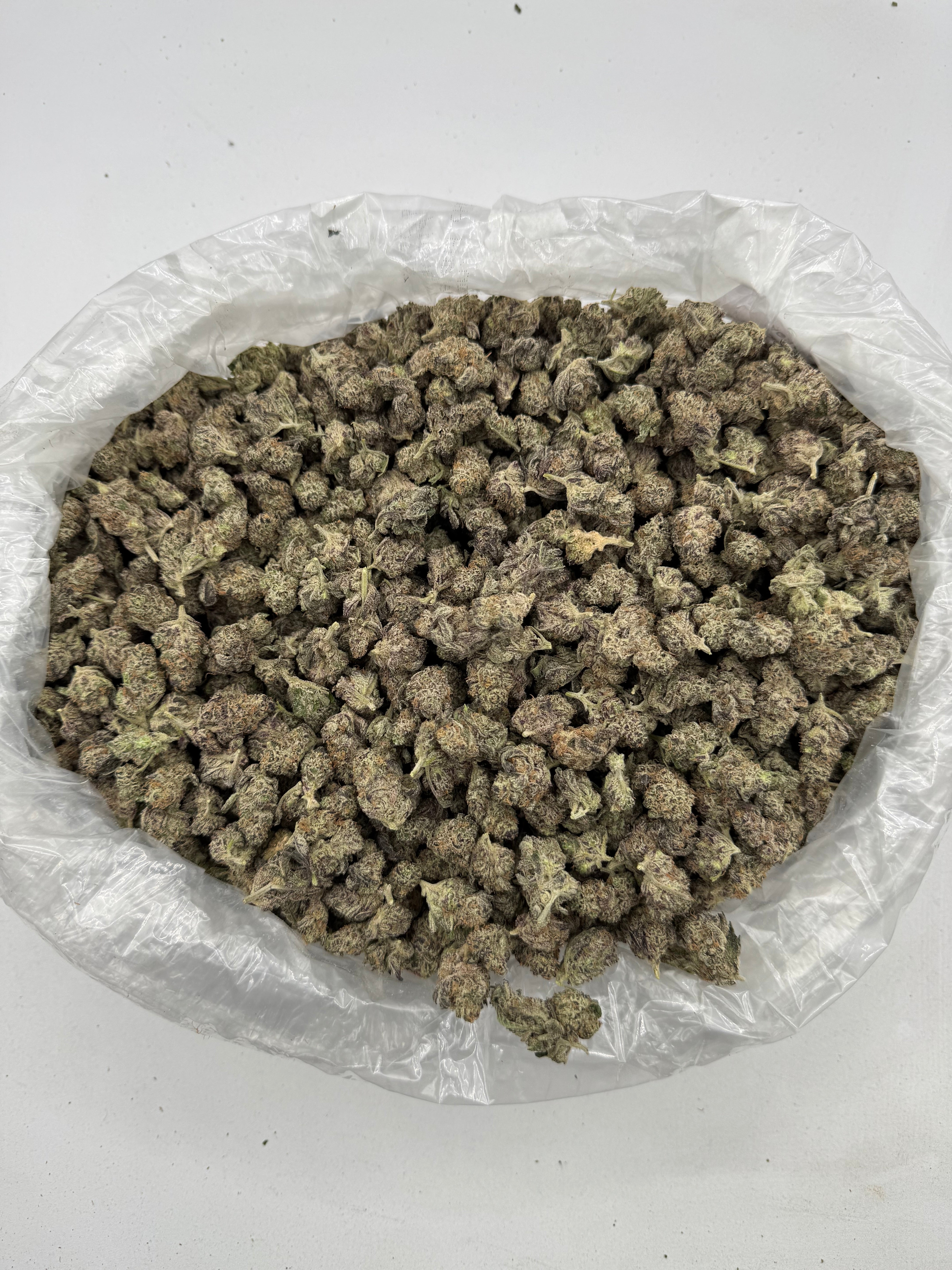 Governmint Oasis Smalls