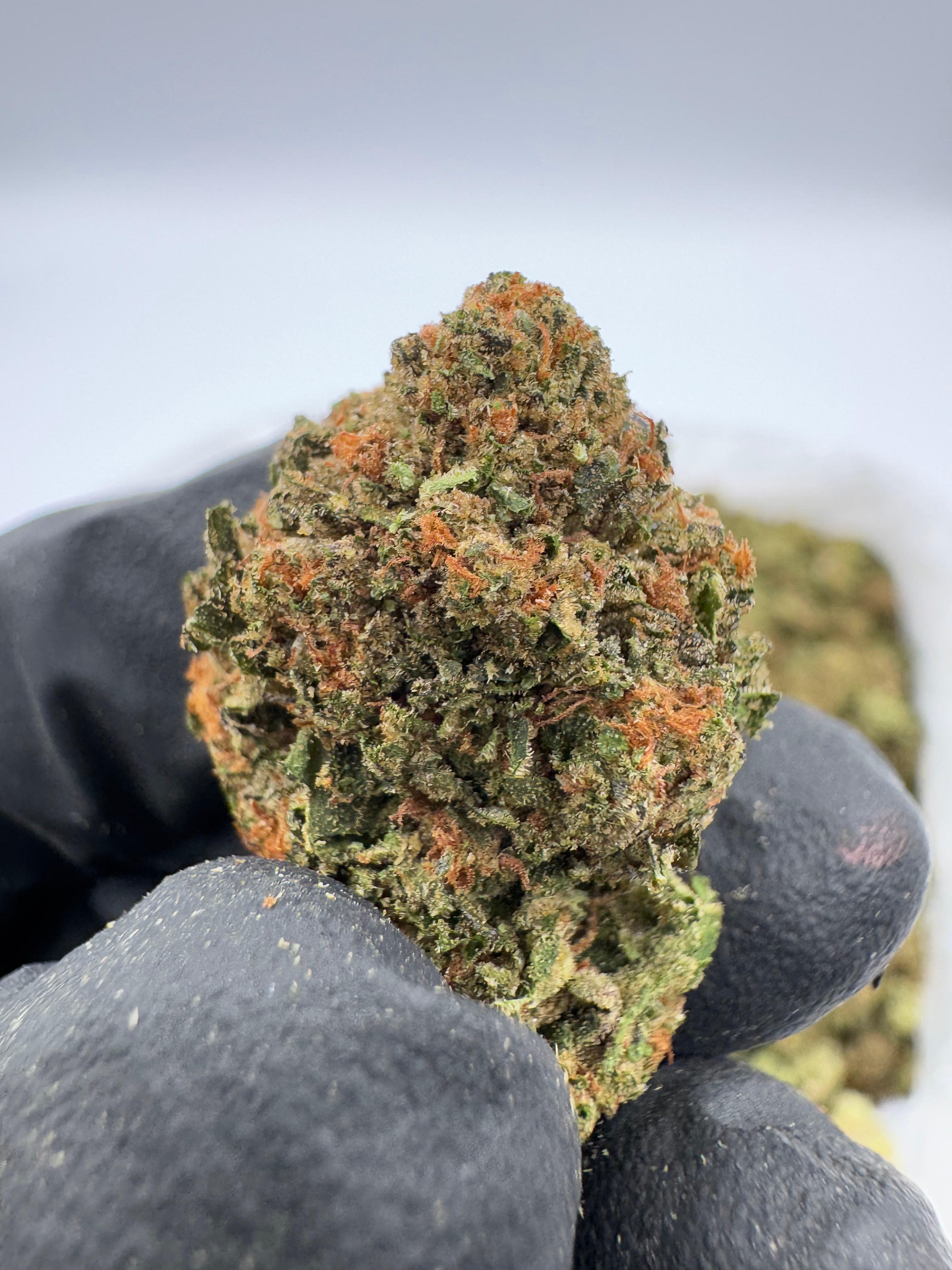 Green Crack (Indoor)