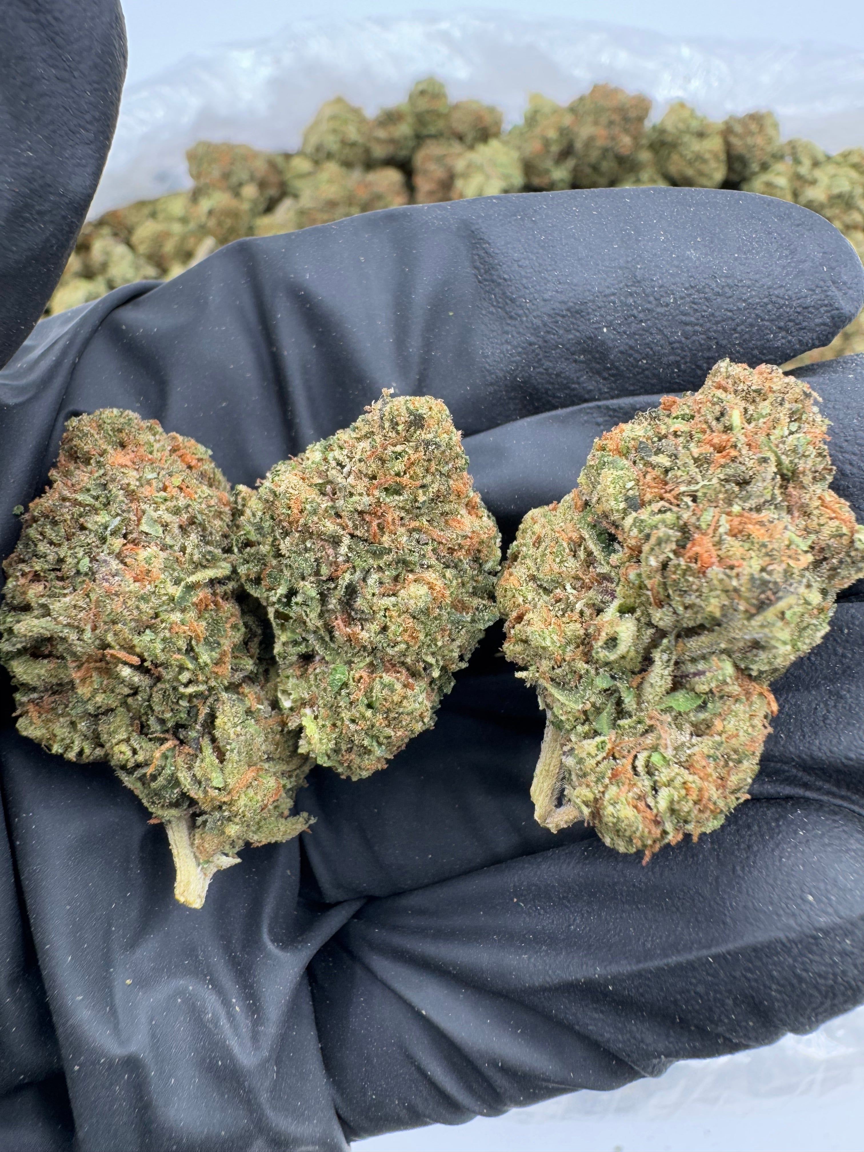 Green Crack (Indoor)