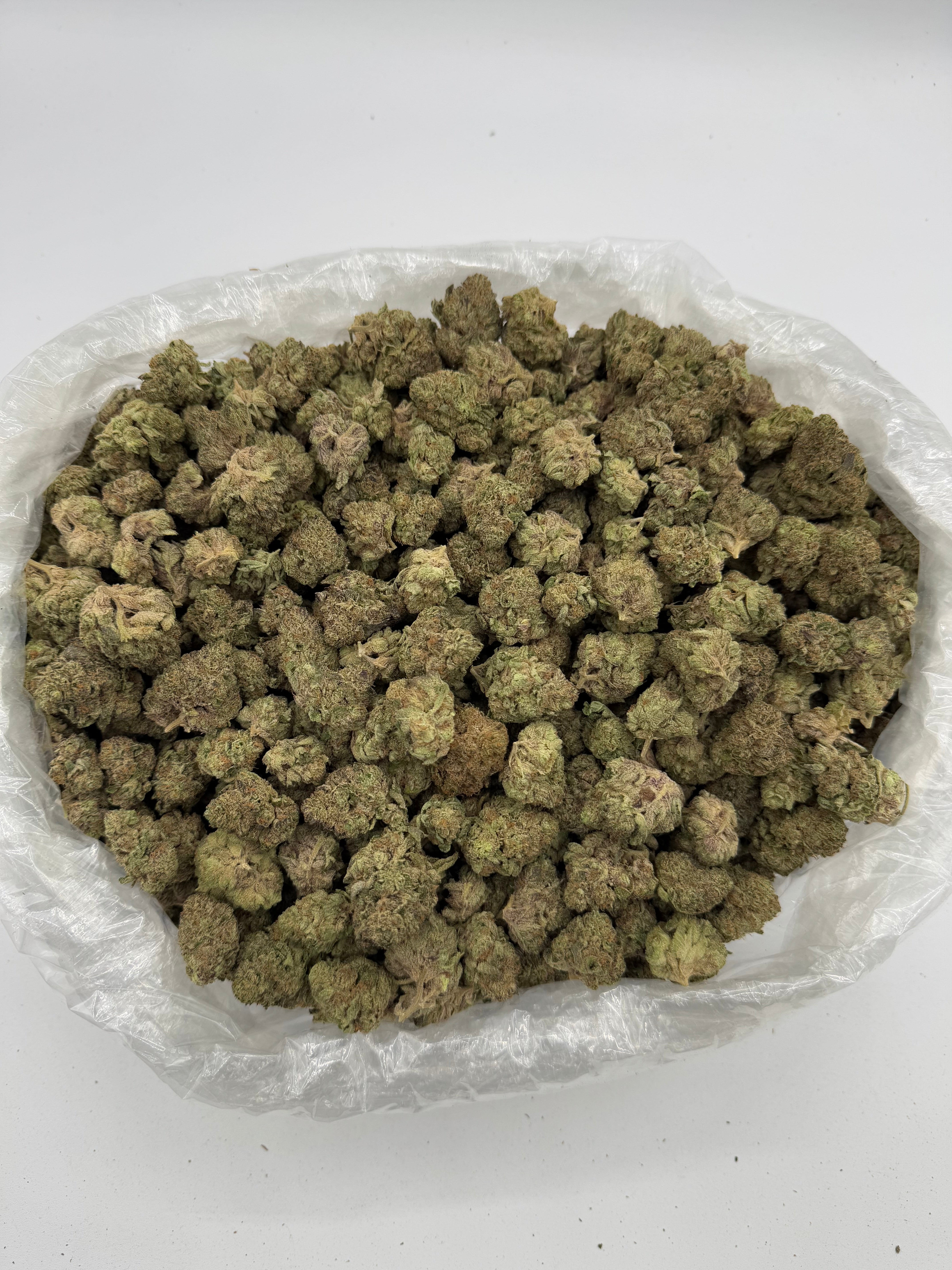 Ice Cream Cake (Indoor)