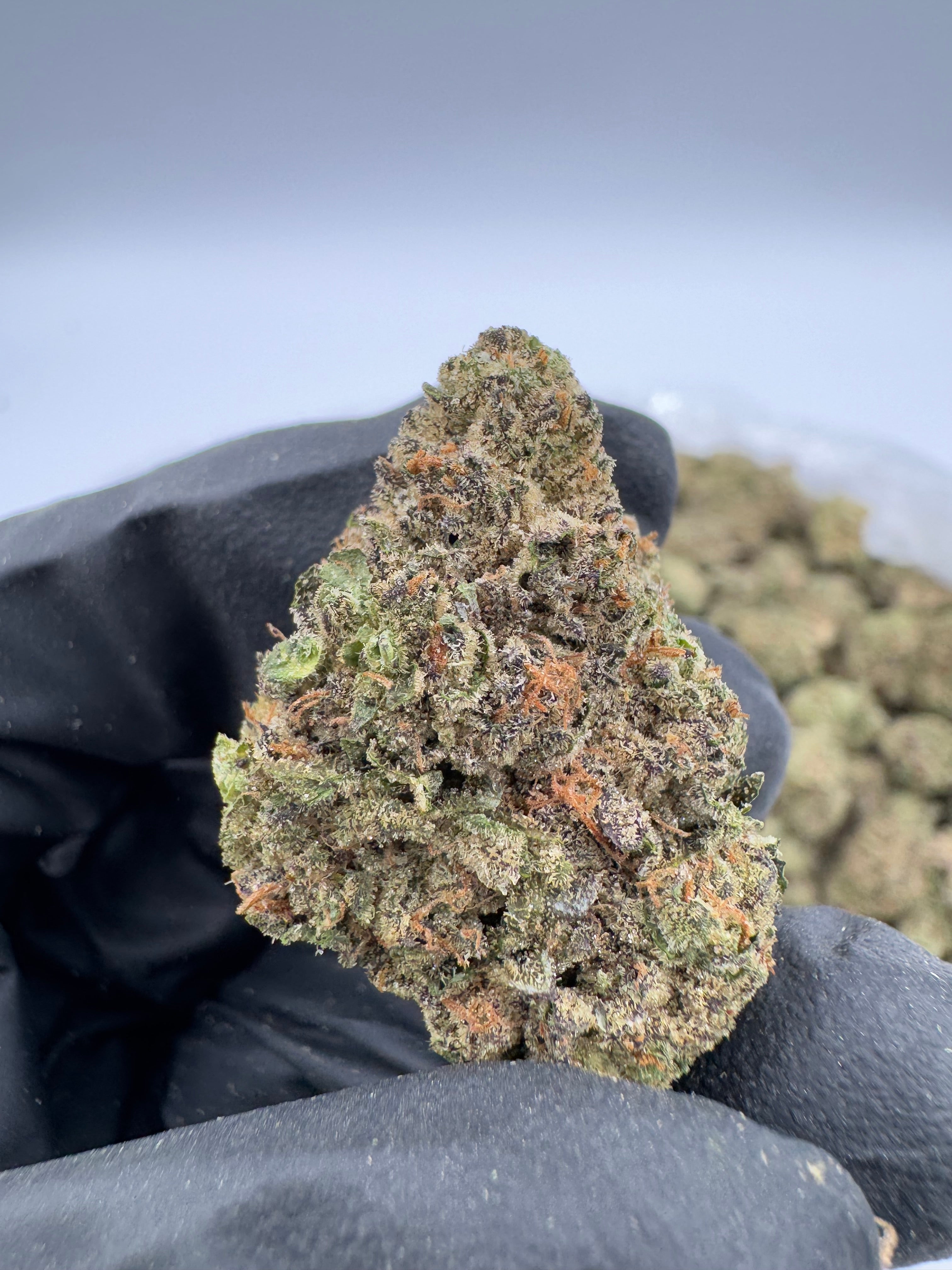 Ice Cream Cake (Indoor)