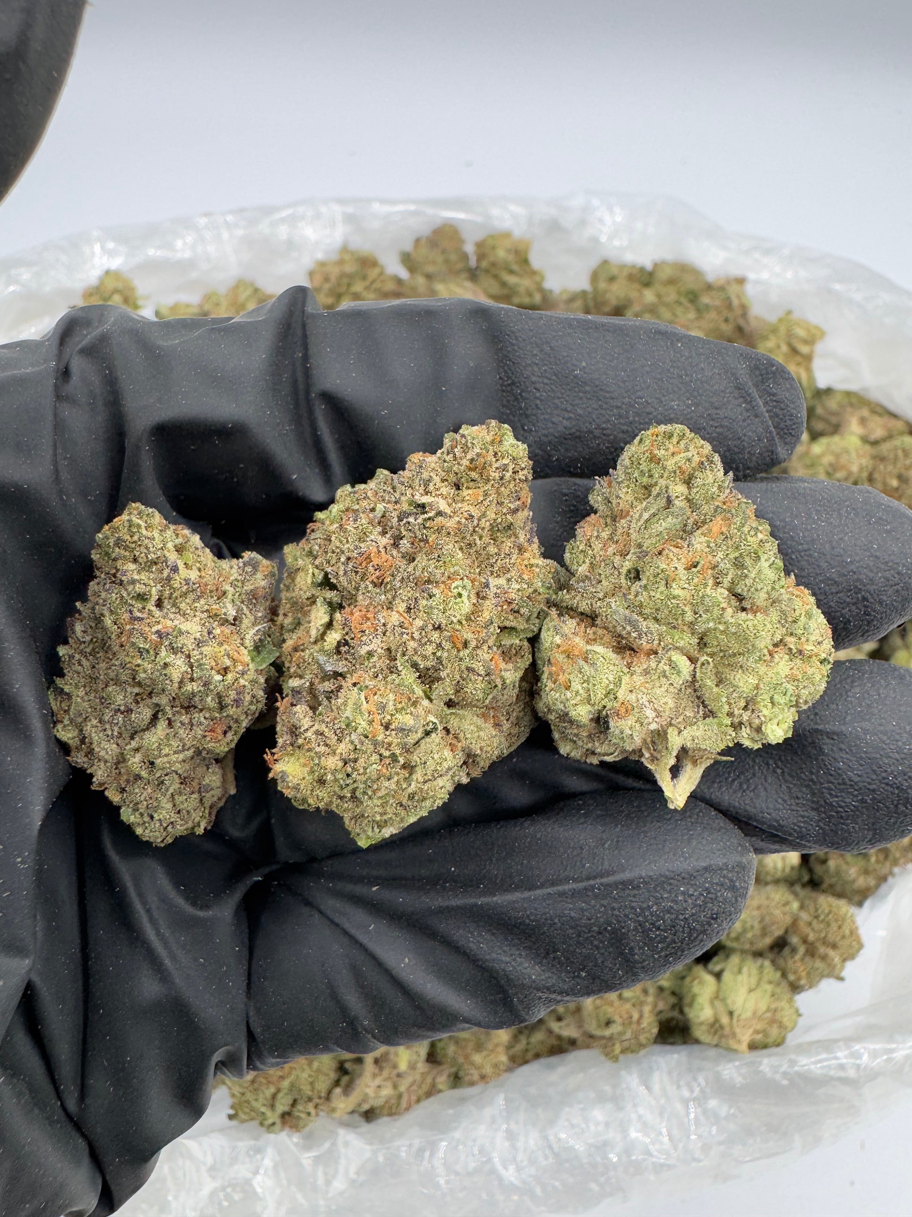 Ice Cream Cake (Indoor)