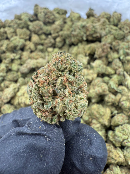 Jack Herer Smalls