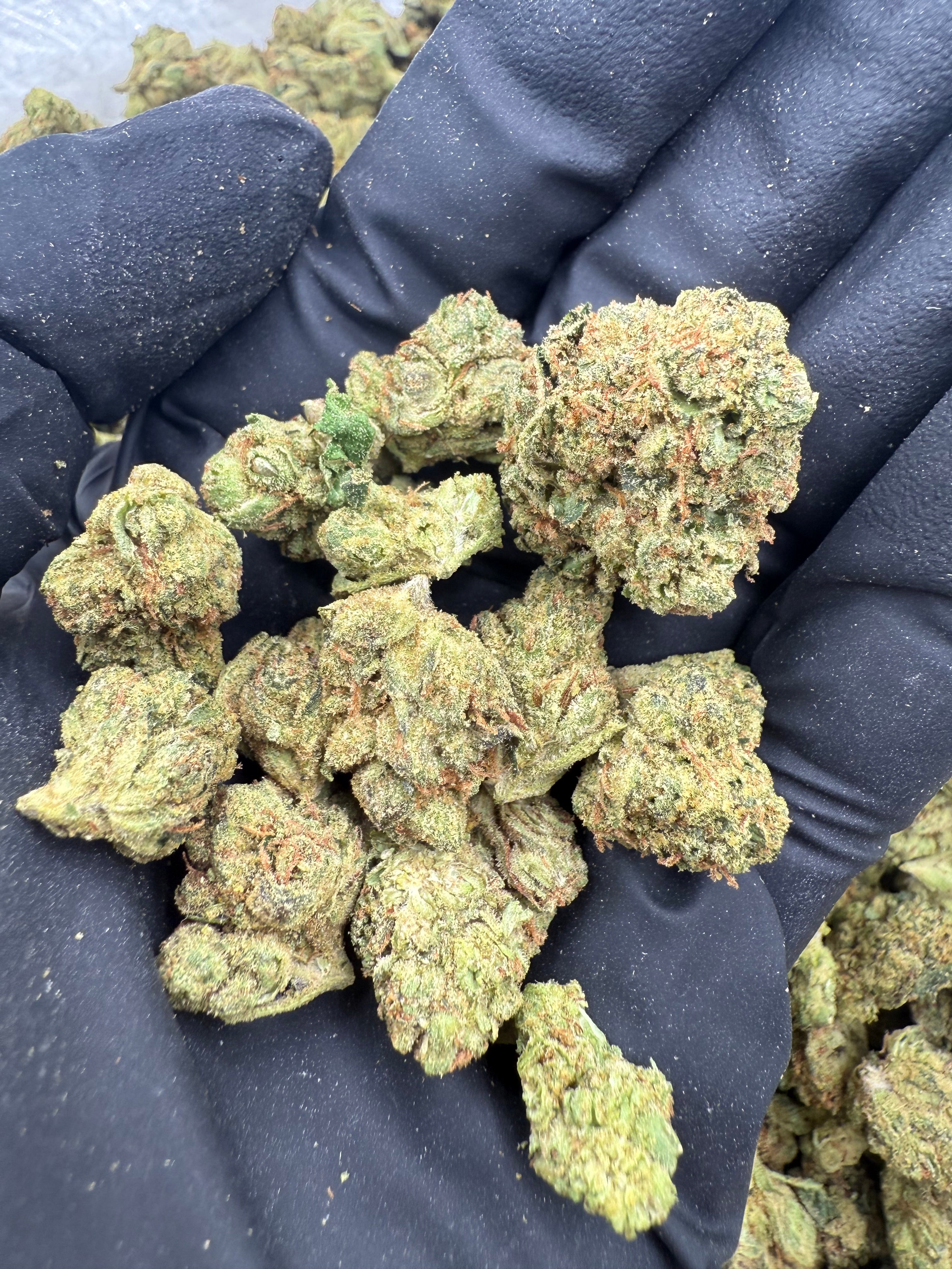 Jack Herer Smalls