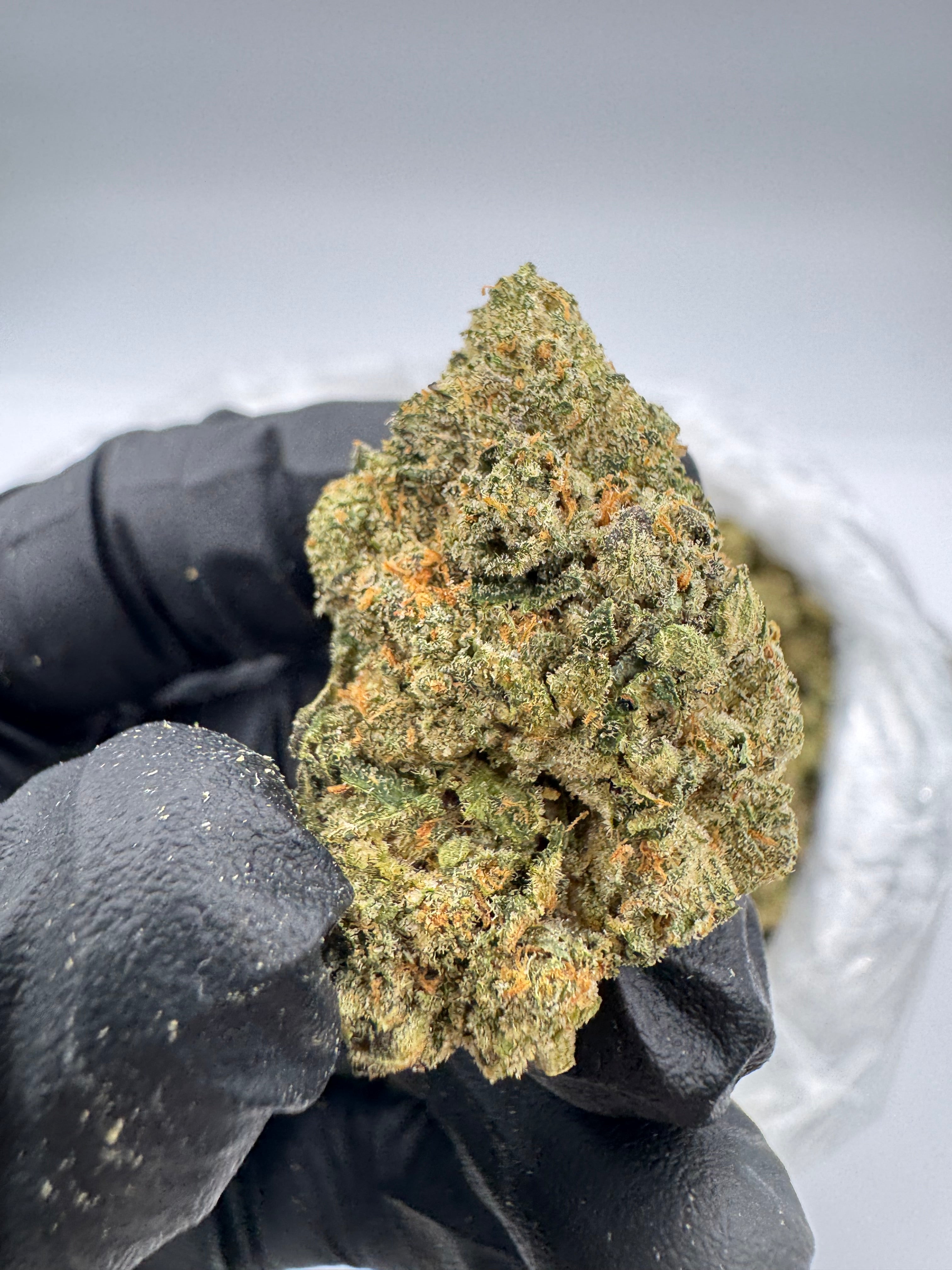 Jet Fuel Gelato (High End)