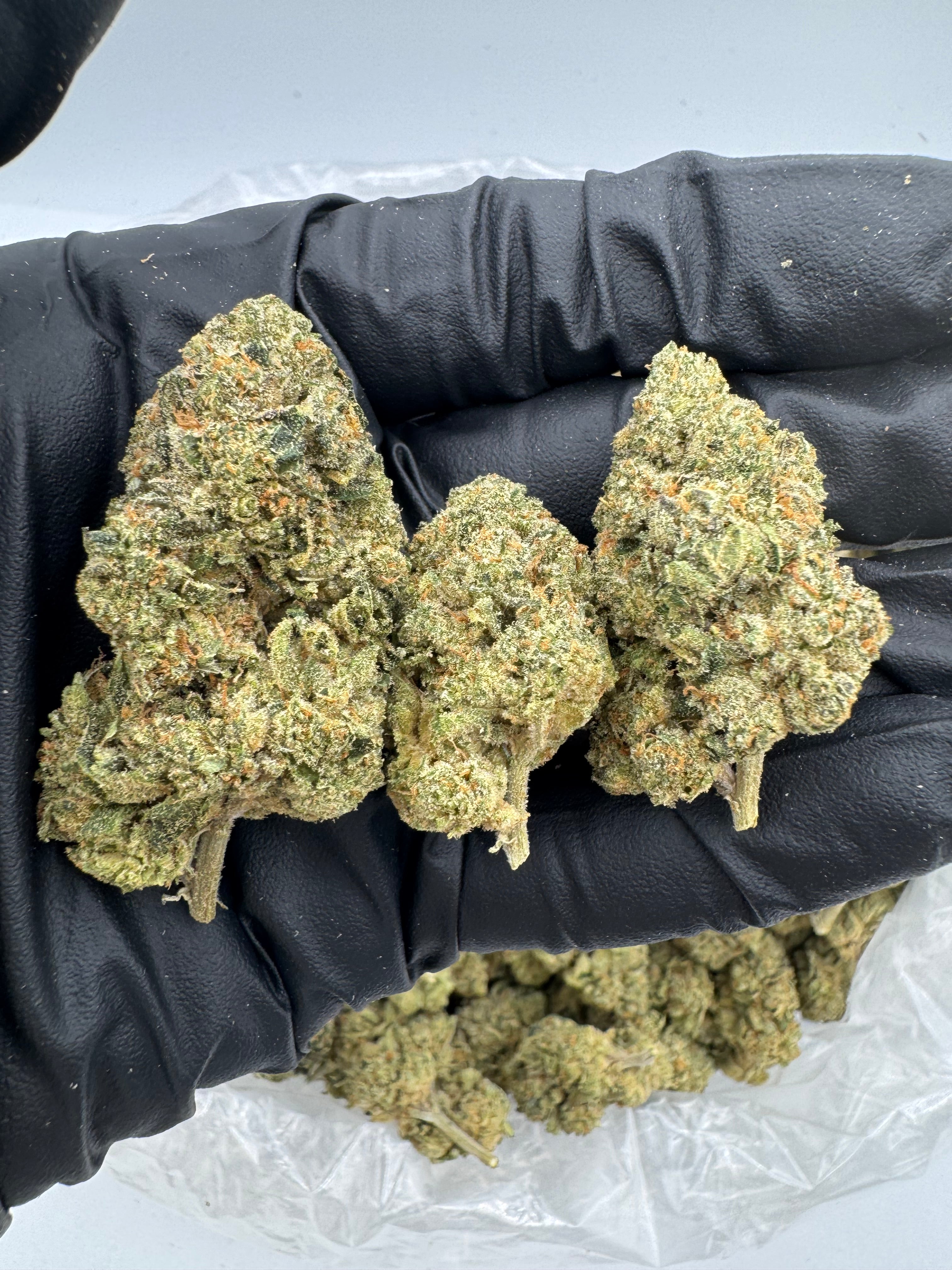 Jet Fuel Gelato (High End)