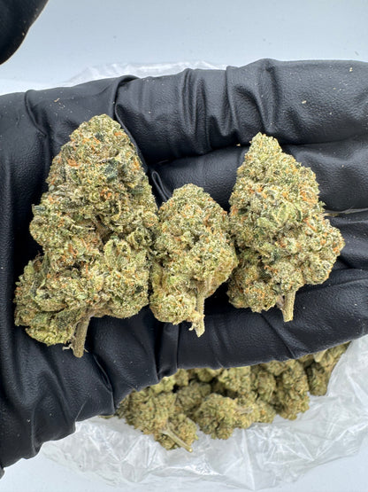 Jet Fuel Gelato (High End)