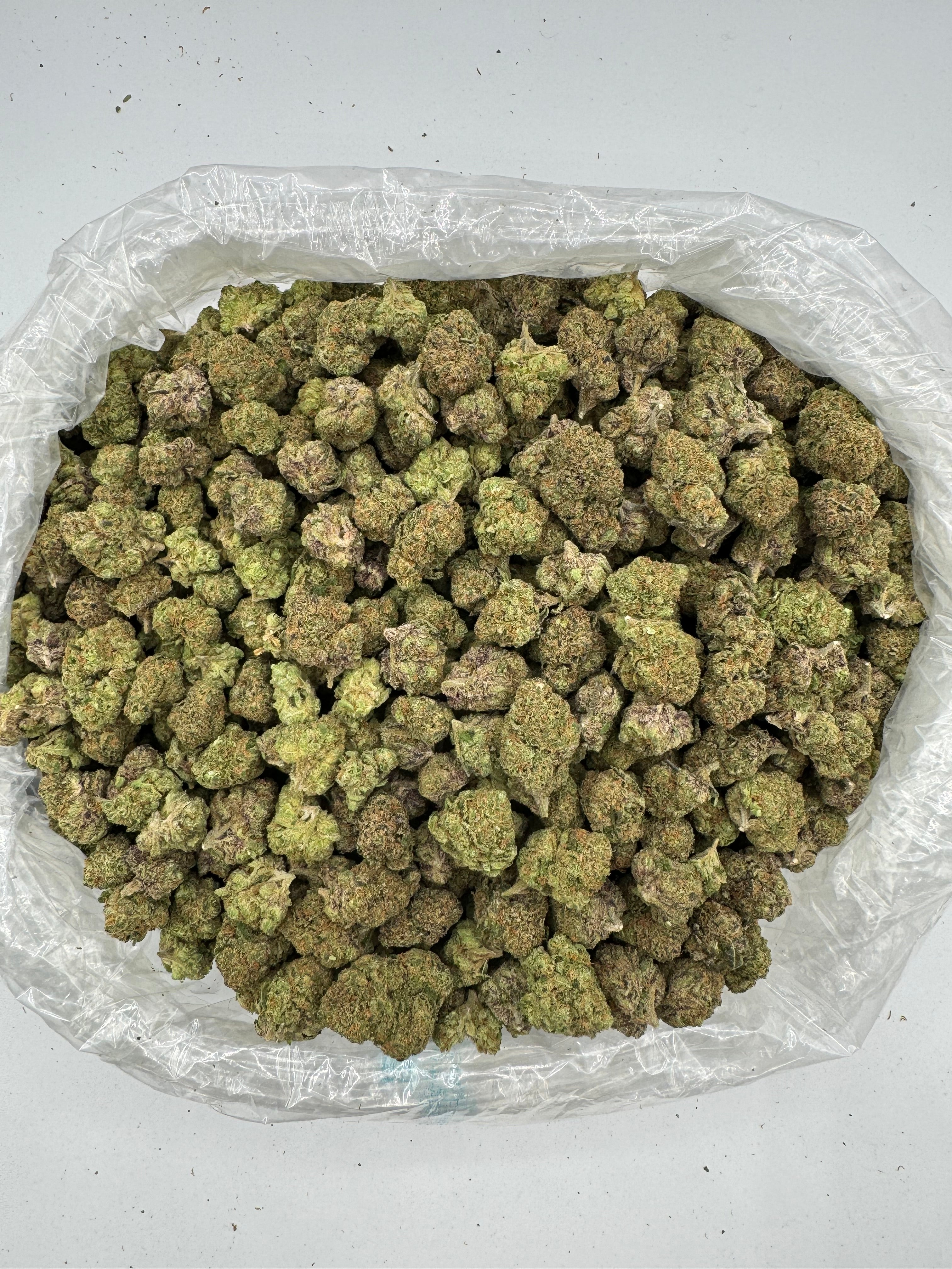 LCG (Indoor)