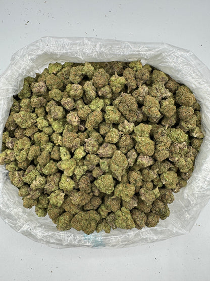 LCG (Indoor)