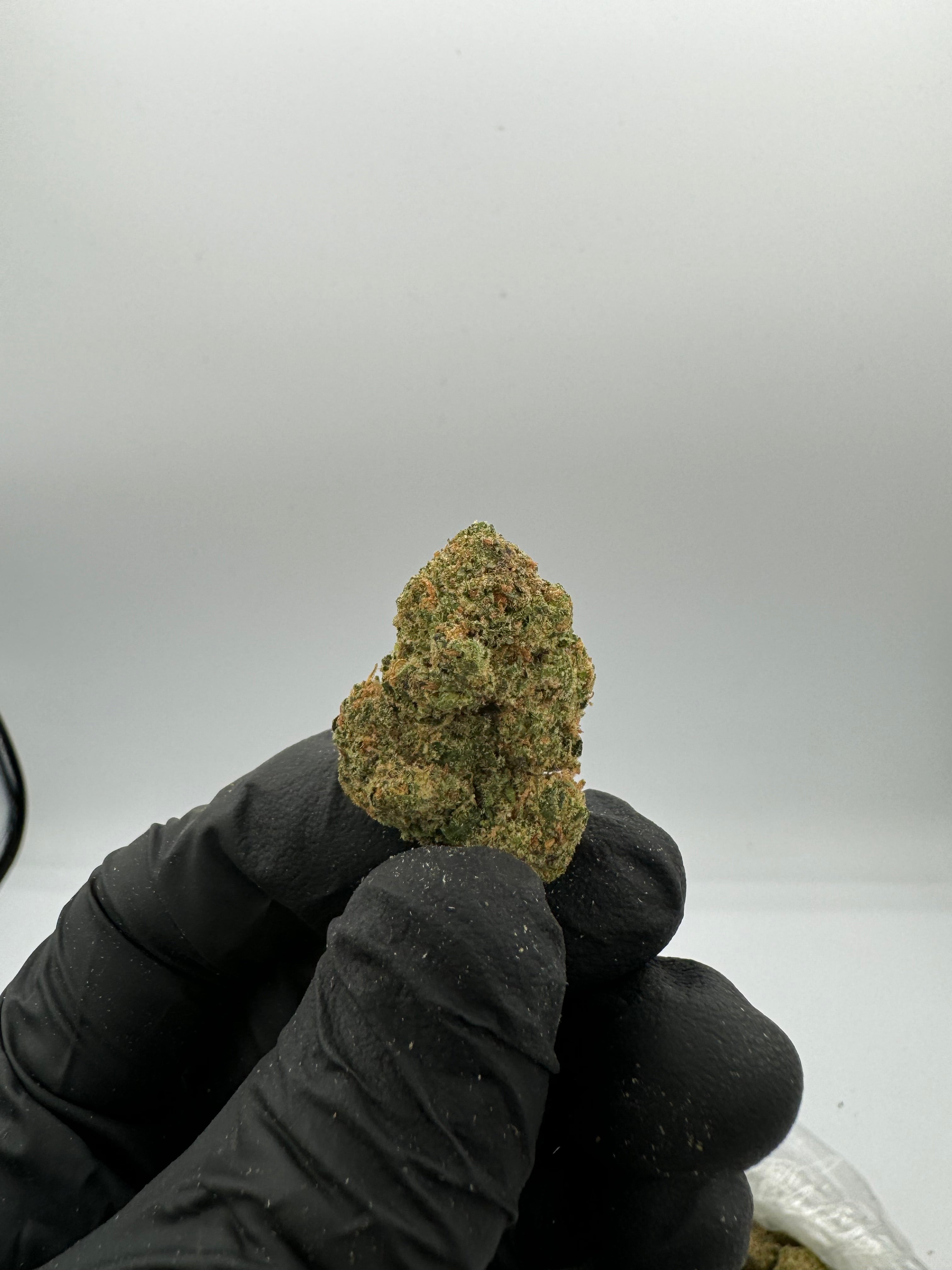 LCG (Indoor)
