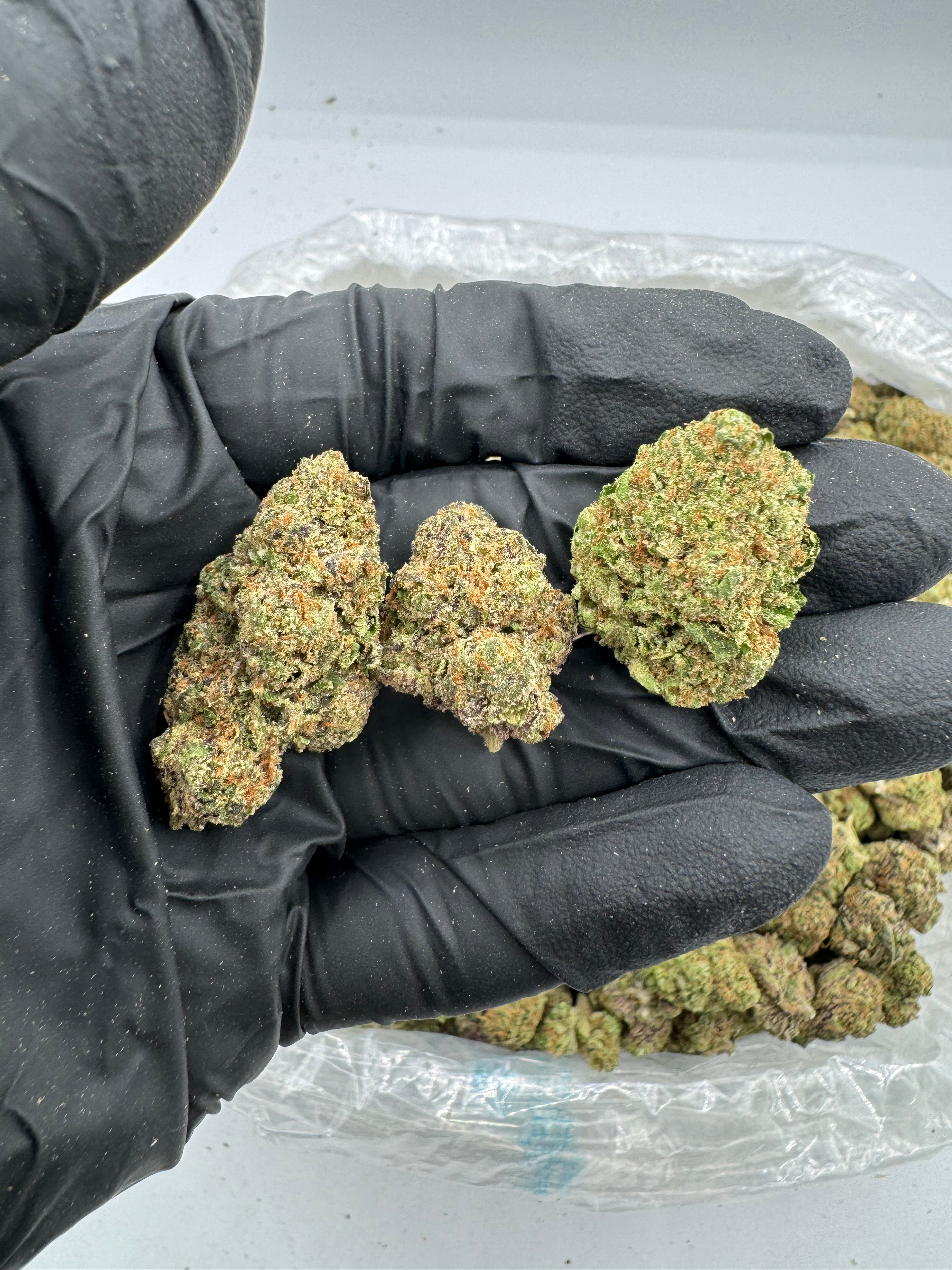LCG (Indoor)